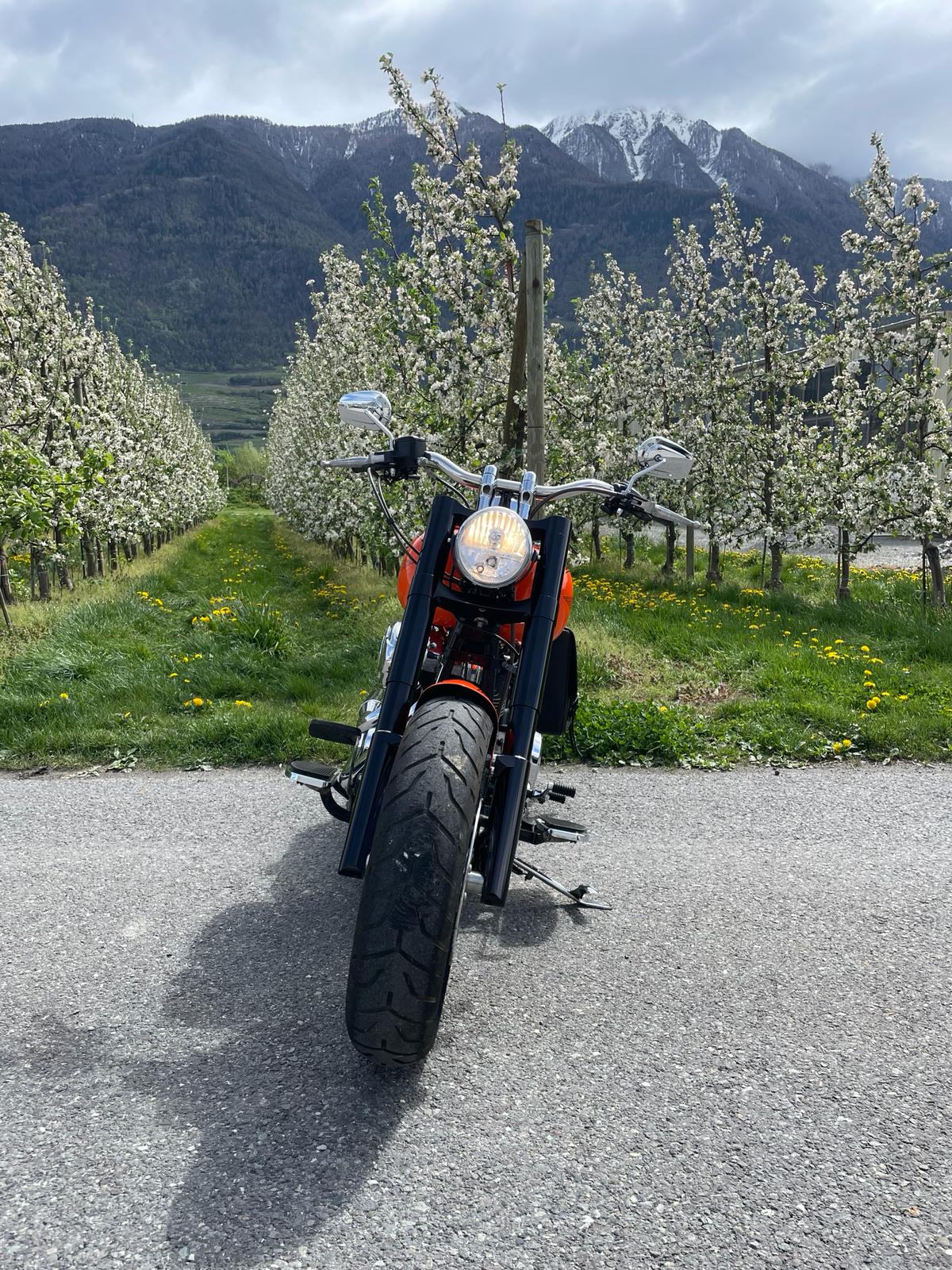 HARLEY-DAVIDSON FLSTFI Fat Boy-image-4