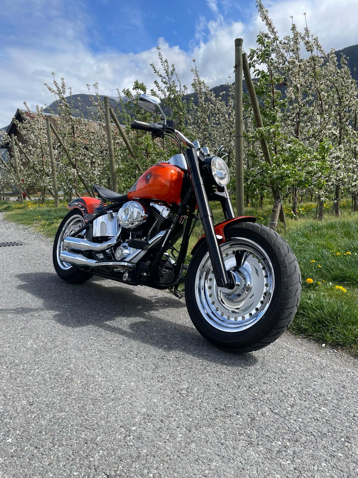 HARLEY-DAVIDSON FLSTFI Fat Boy-image-2