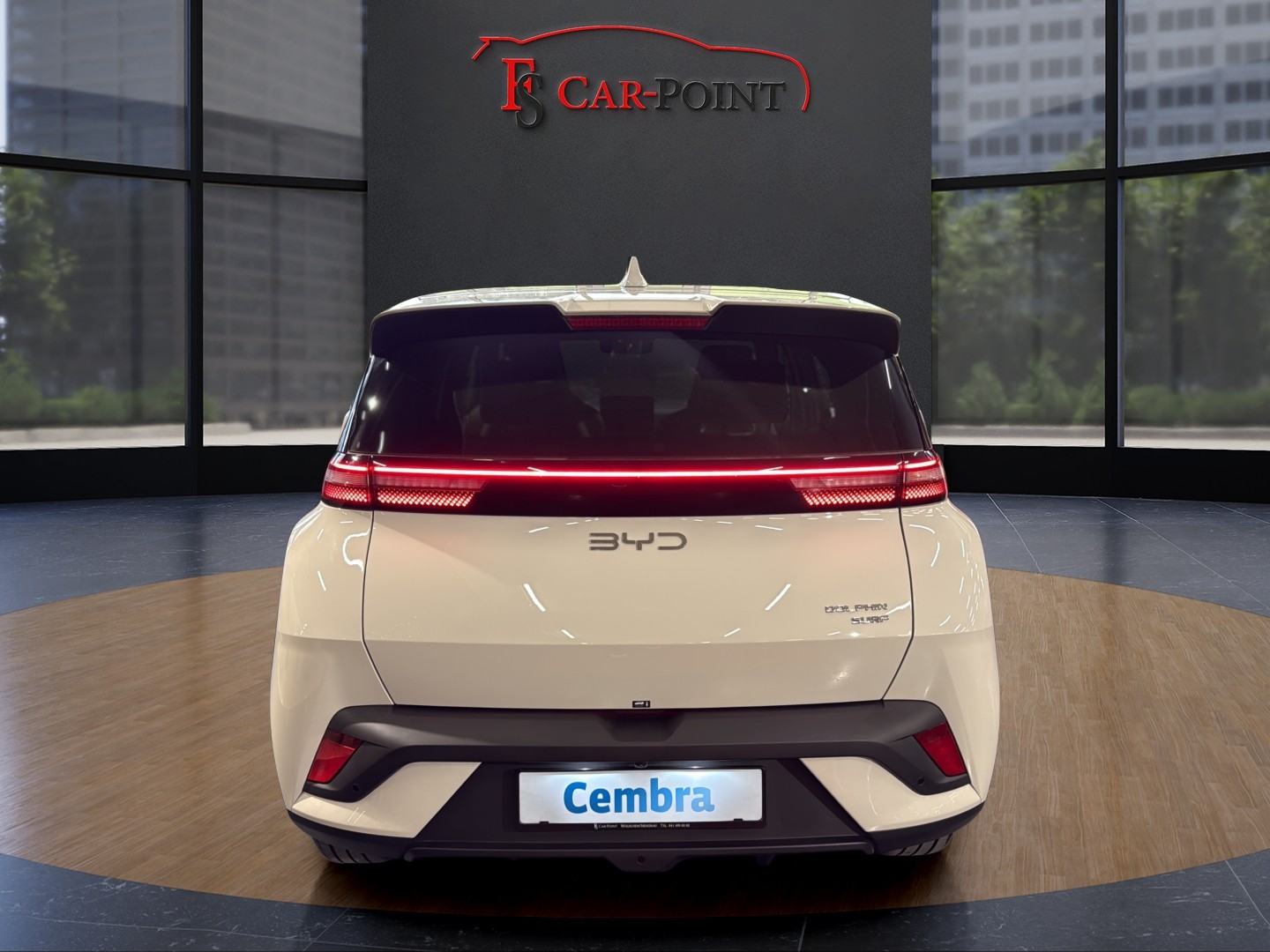 BYD Dolphin Surf 43 kWh Boost-image-3