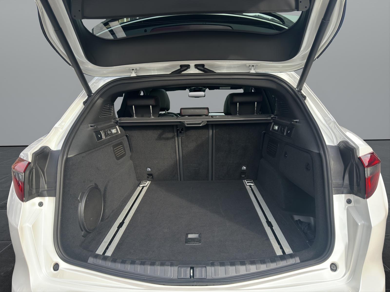 ALFA ROMEO Stelvio 2.9 V6 Quadrifoglio Q4 Automatic-image-13