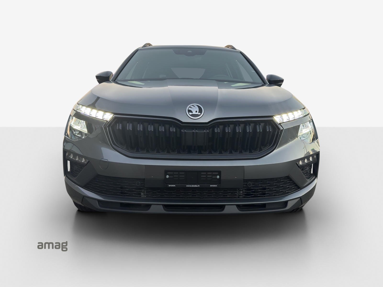 SKODA Kamiq 1.5 TSI Dynamic DSG-image-6