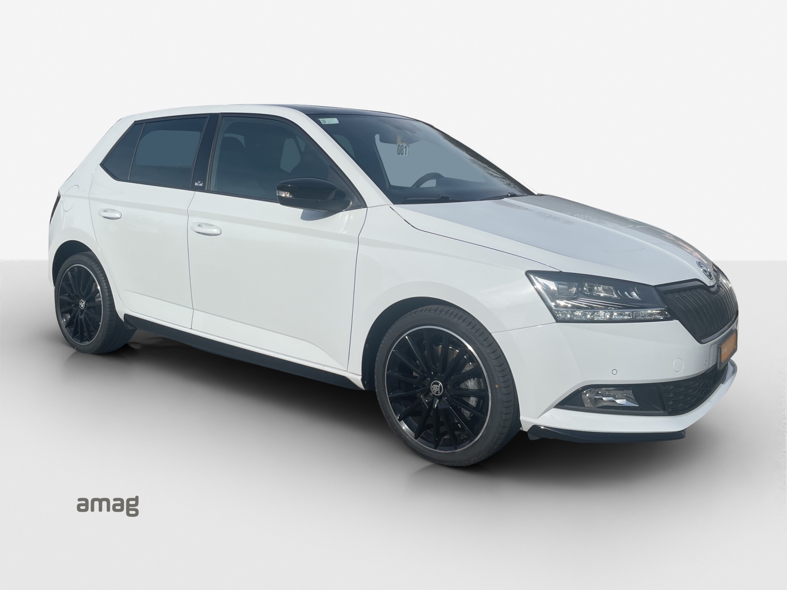 SKODA Fabia 1.0 TSI Monte Carlo DSG-image-5