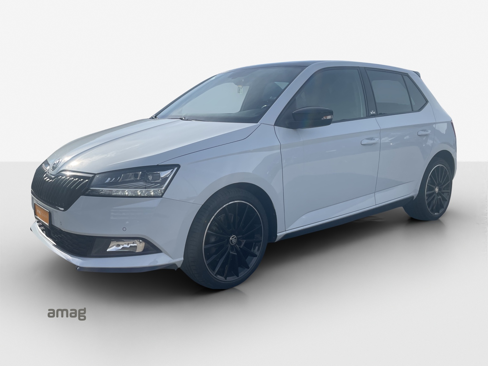 SKODA Fabia 1.0 TSI Monte Carlo DSG-image-0