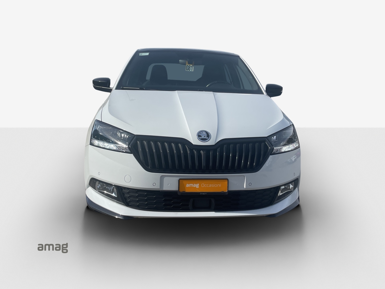 SKODA Fabia 1.0 TSI Monte Carlo DSG-image-6
