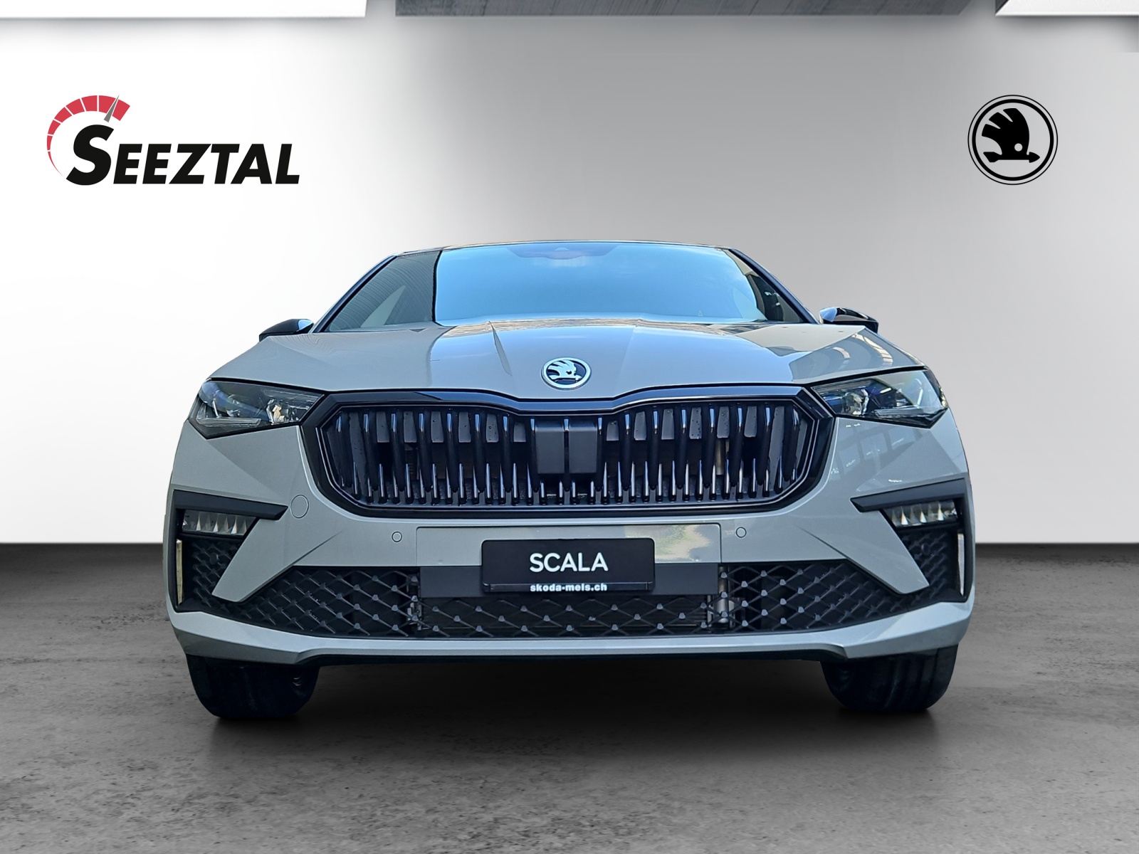 SKODA Skoda Scala Dynamic TSI DSG-image-2