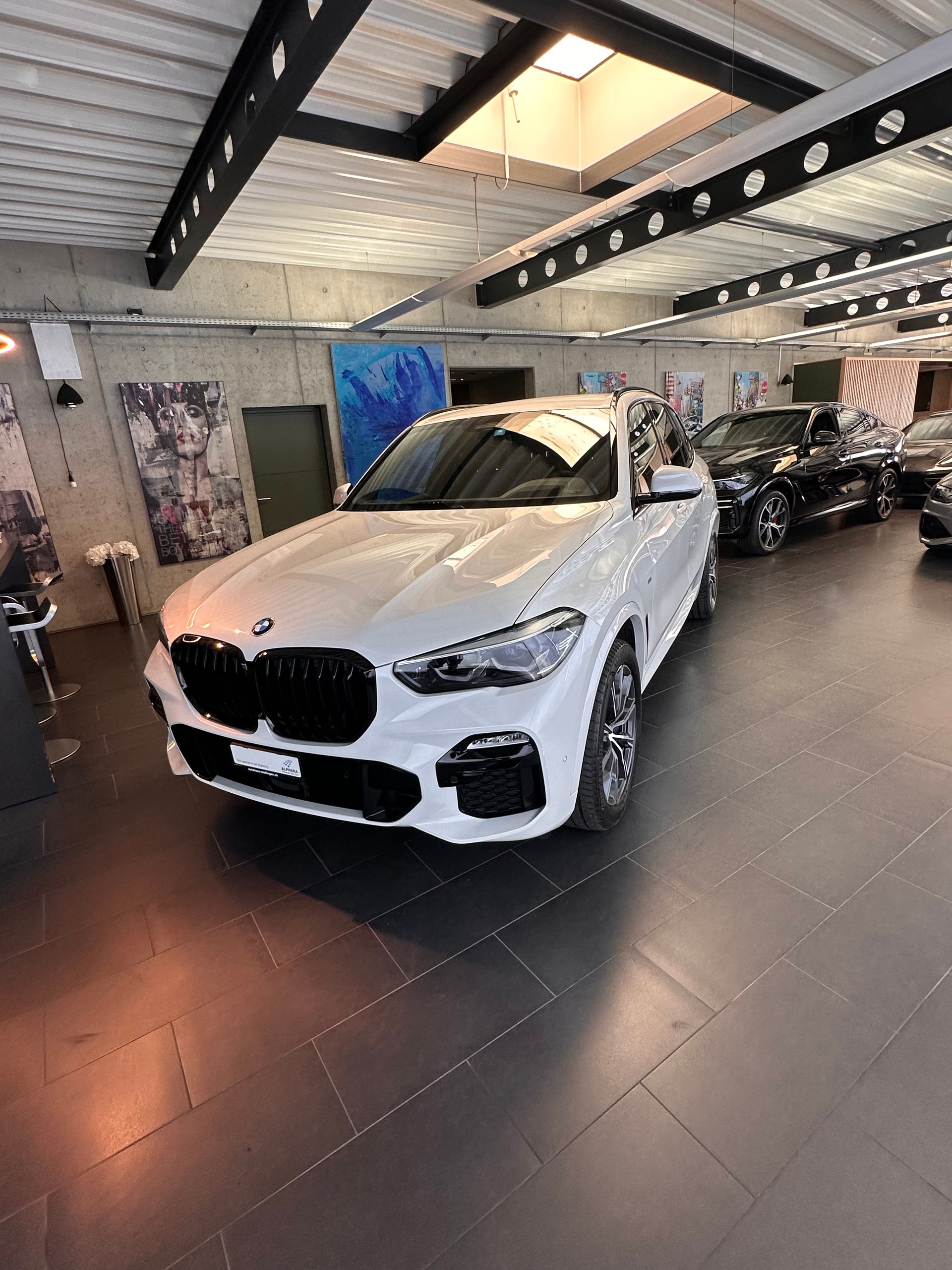 BMW X5 30d xDrive SAG-image-6
