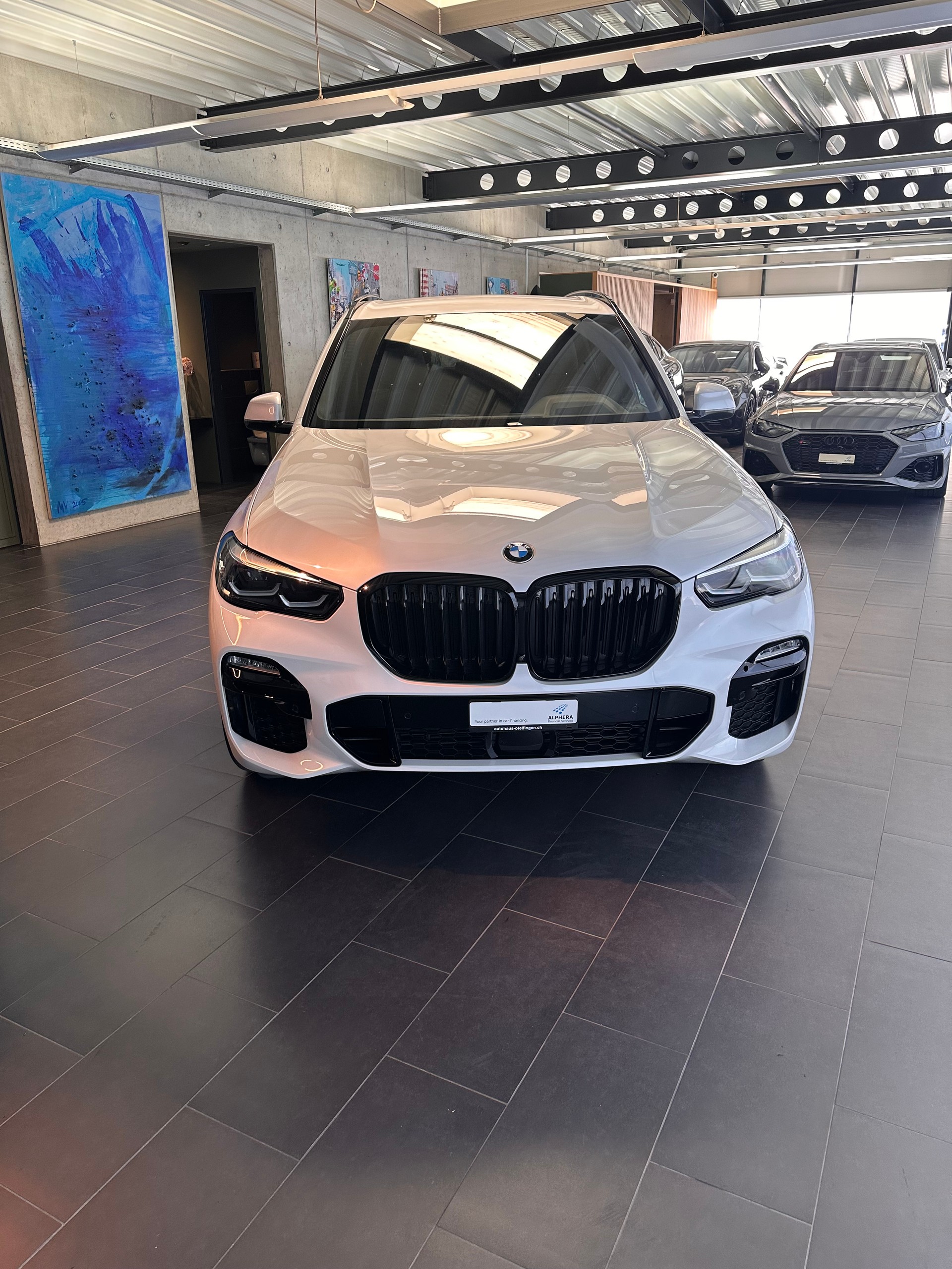 BMW X5 30d xDrive SAG-image-5