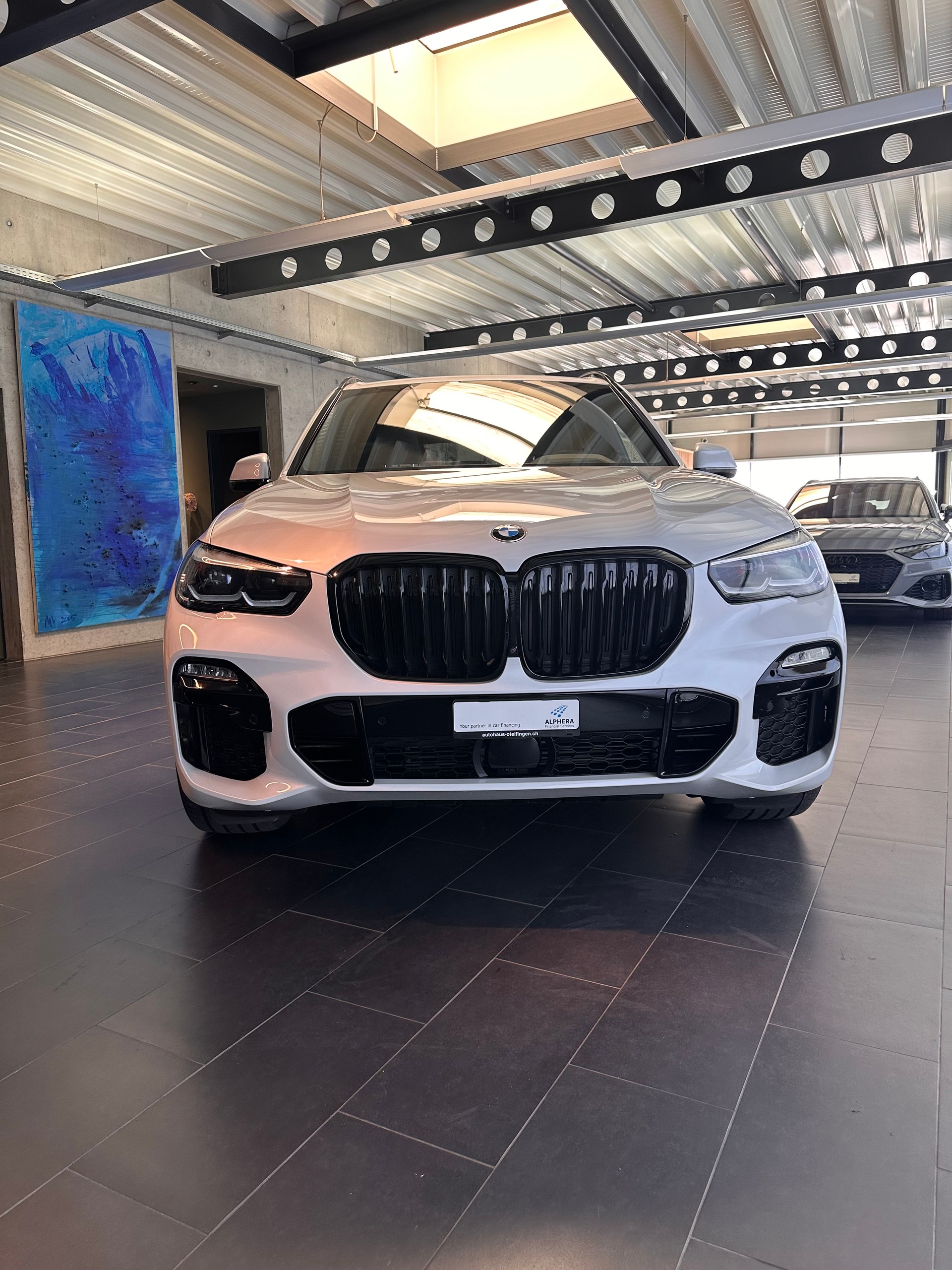 BMW X5 30d xDrive SAG-image-4