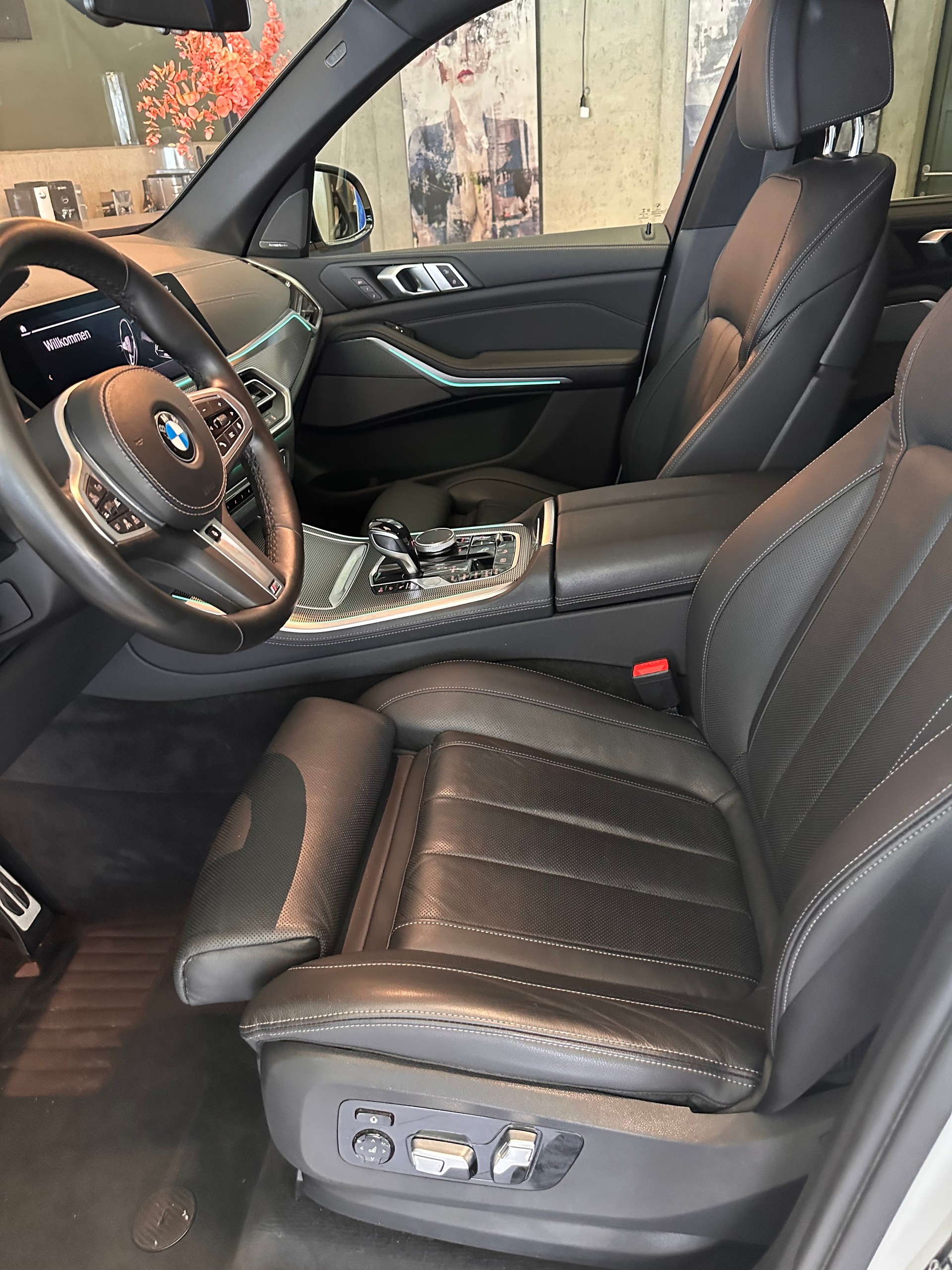 BMW X5 30d xDrive SAG-image-12