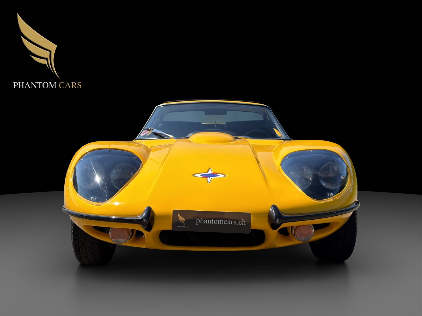 MARCOS 3000 GT-image-2