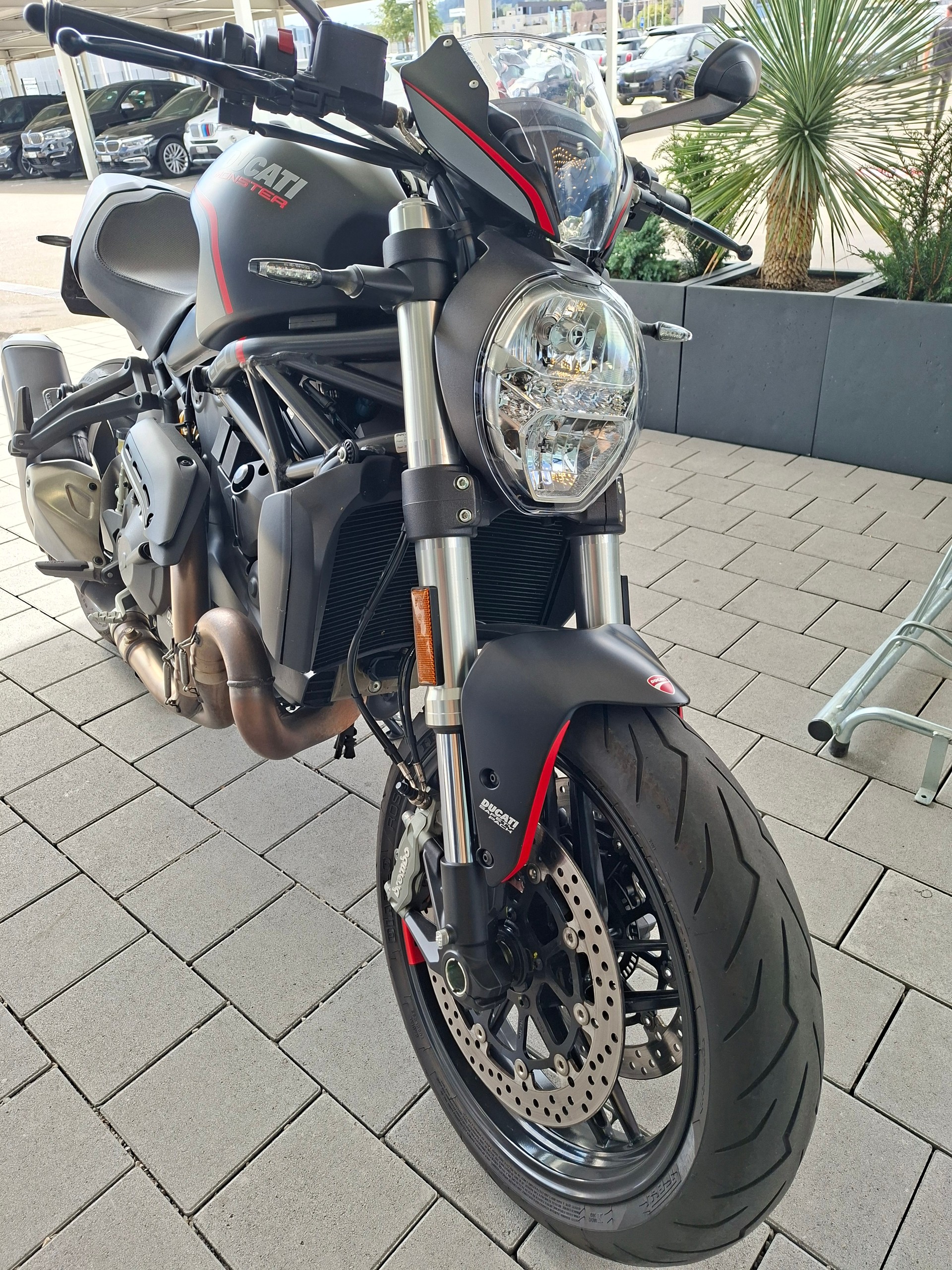 DUCATI Monster 821-showroom-element-2