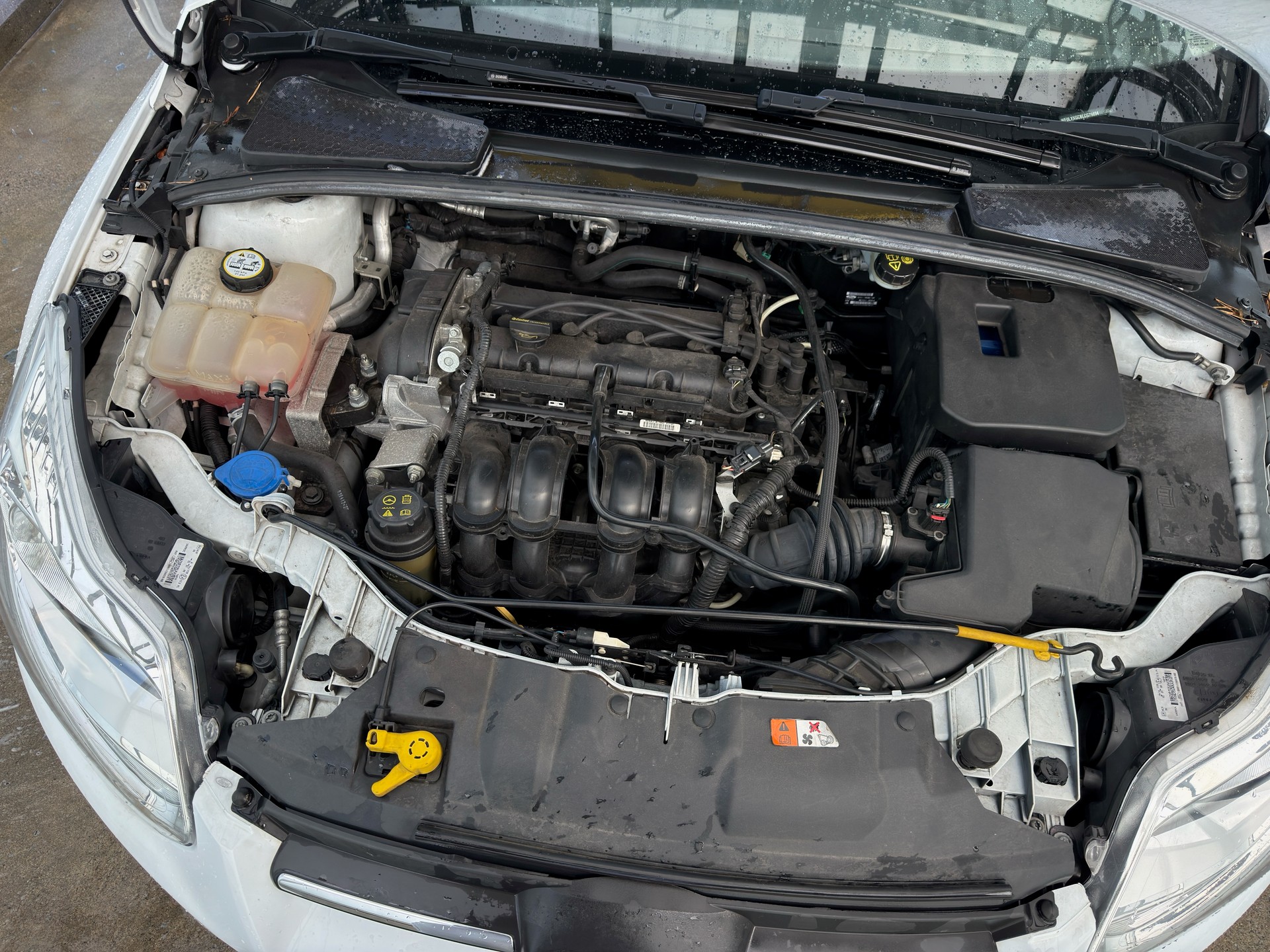 FORD 1.6i Ti-VCT 125 Trend-image-2