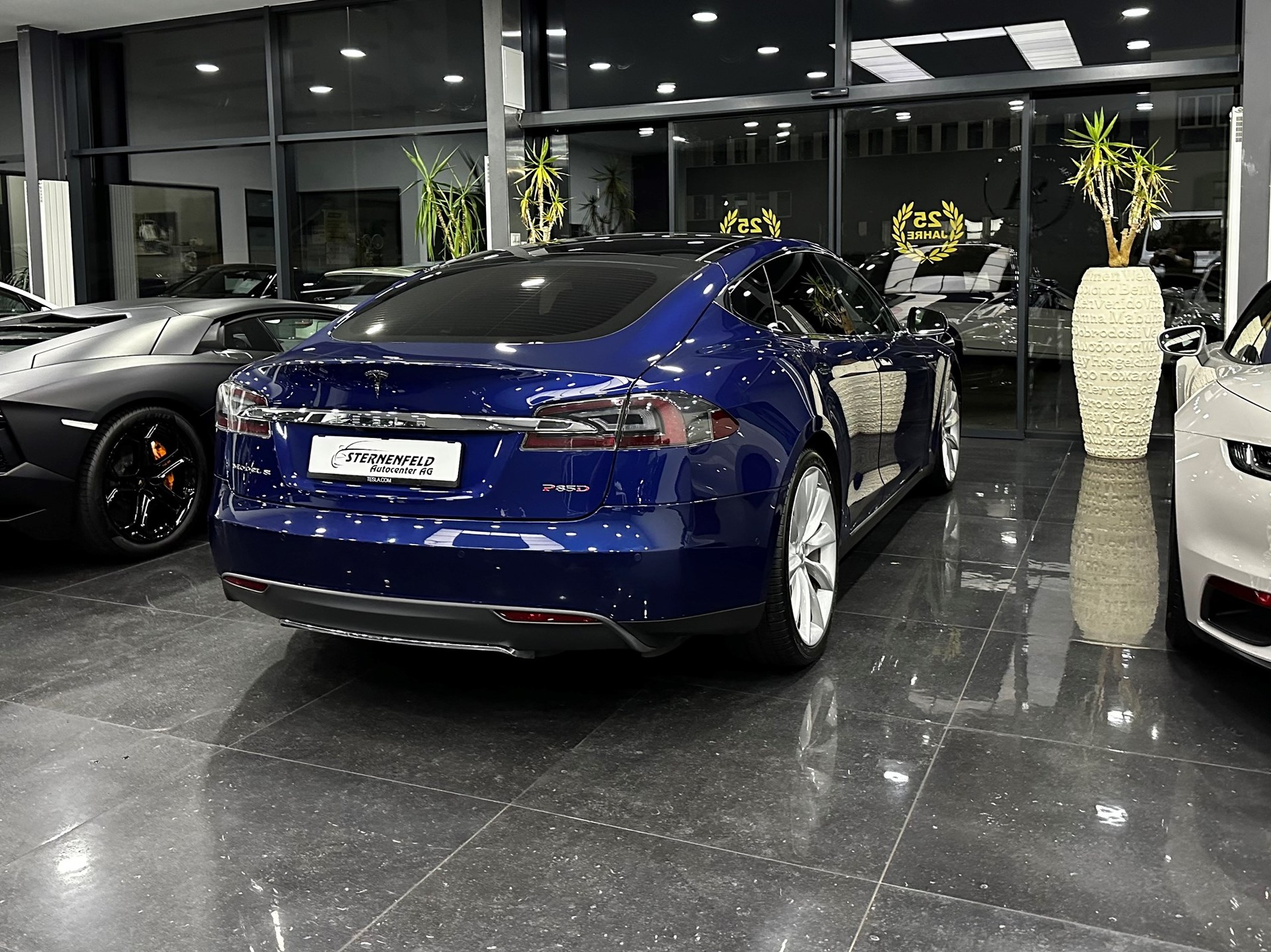 TESLA Model S 85 D Performance-image-2