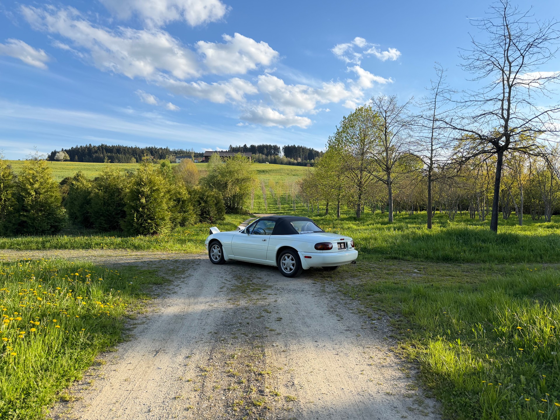 MAZDA MX-5 1.6i-16-image-4