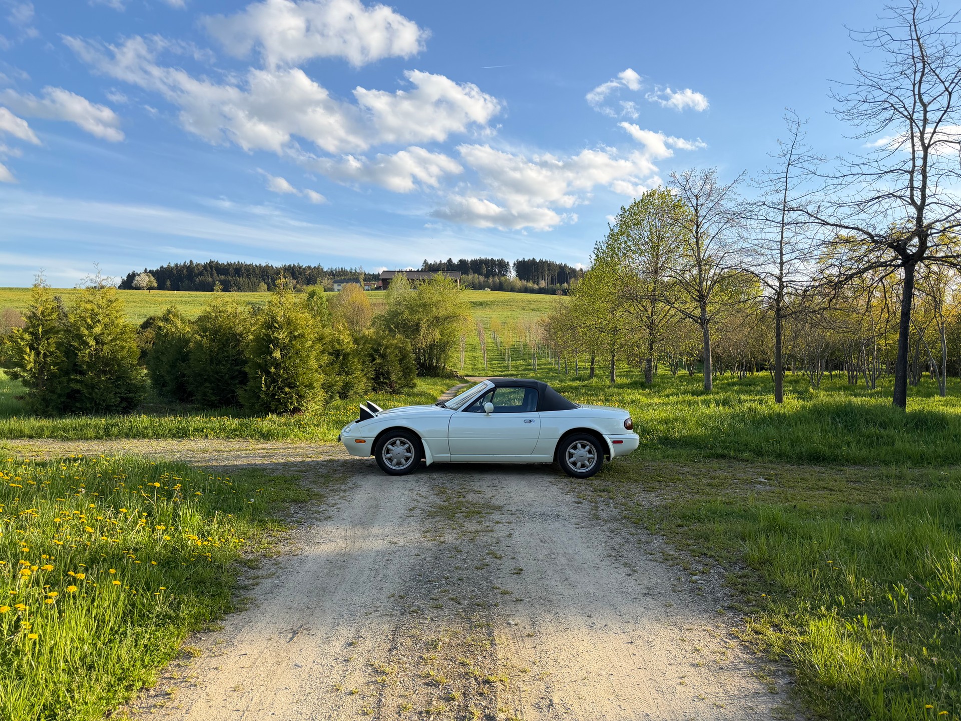 MAZDA MX-5 1.6i-16-image-3