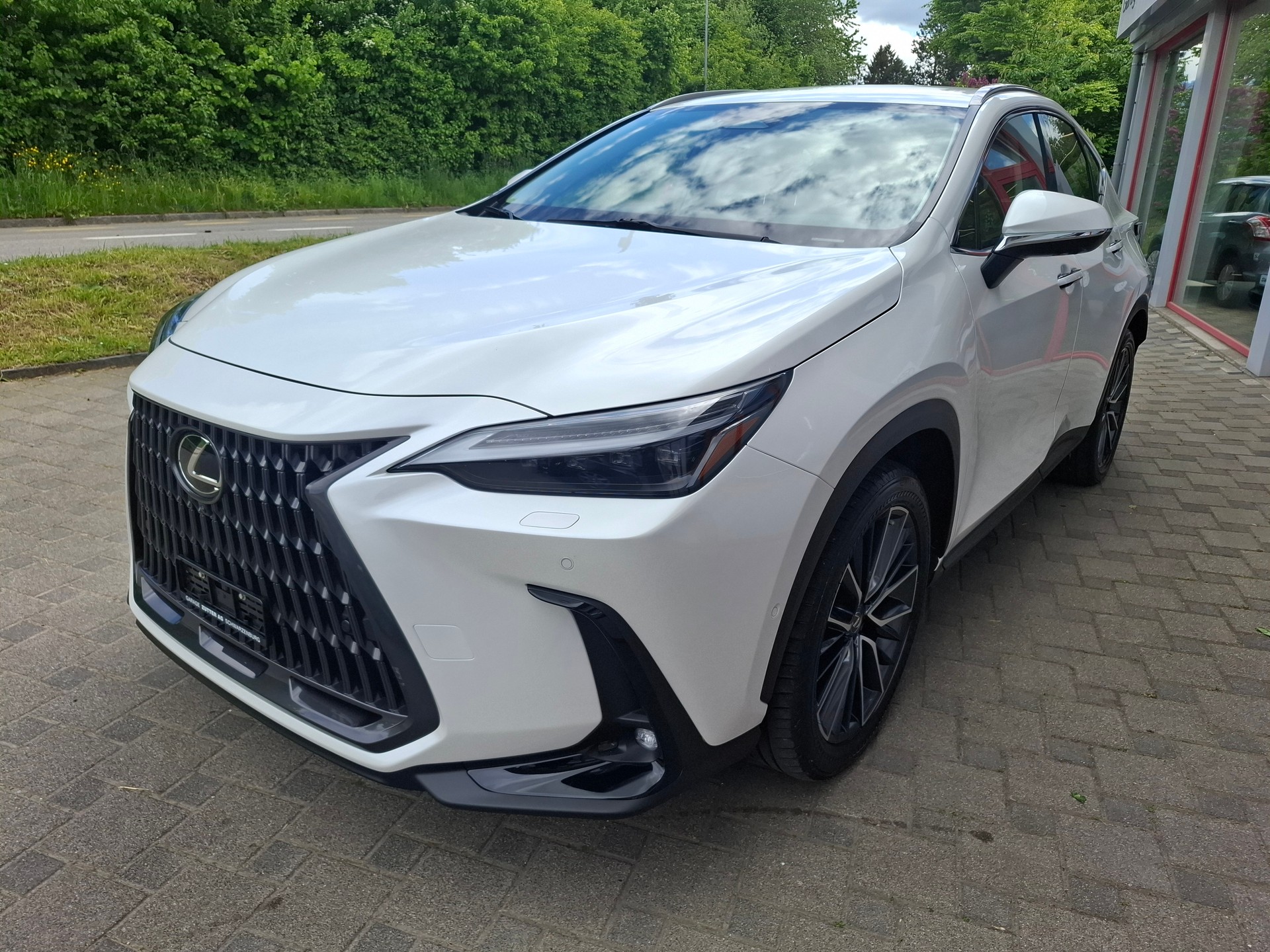 LEXUS NX 450h+ E-FOUR Excellence-image-1