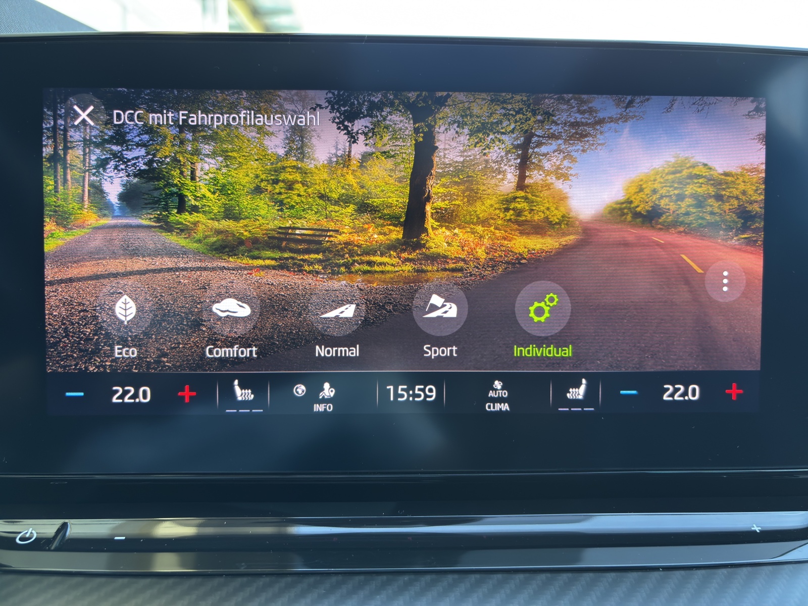 SKODA Octavia Combi 2.0 TDI DSG RS 4x4 mit AHK & Panorama-Ausstell-/Schiebedach & Rückfahrkamera-image-19