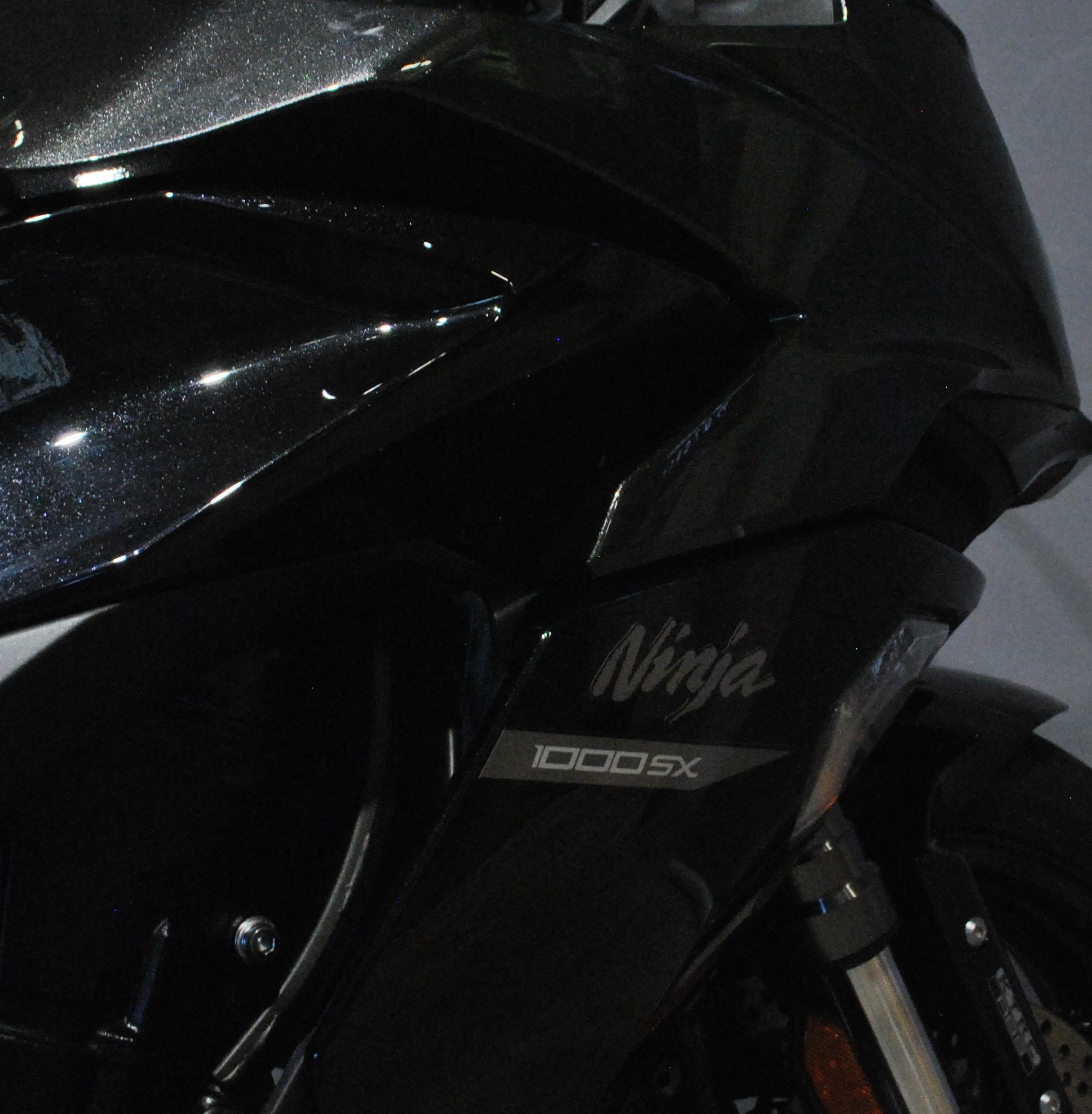 KAWASAKI Ninja 1000 SX-image-6