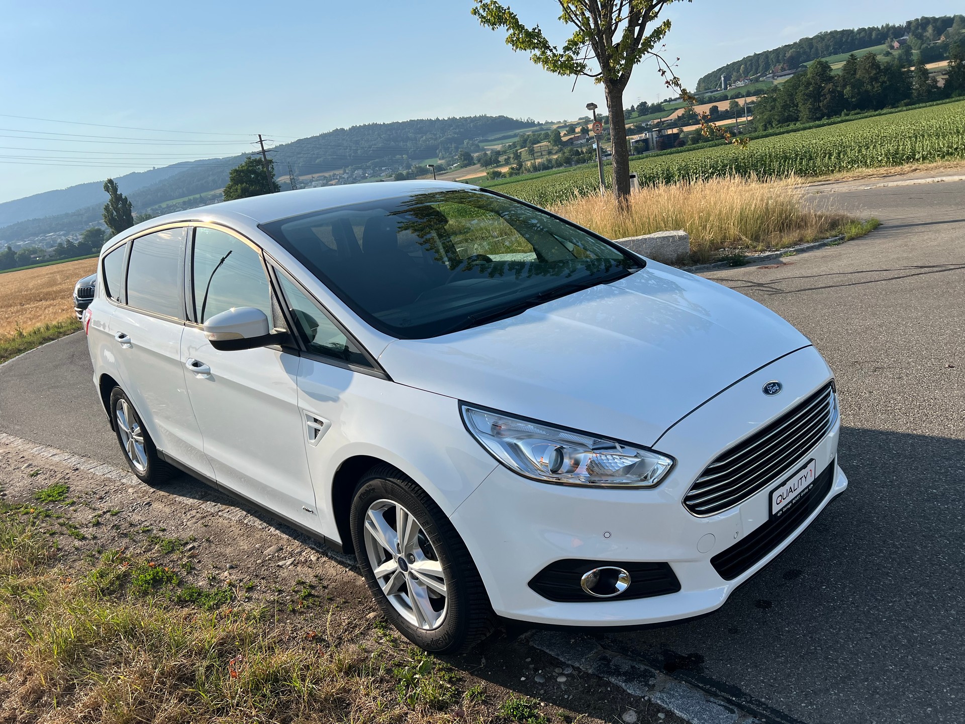 FORD S-Max 2.0TDCi Business AWD-image-2