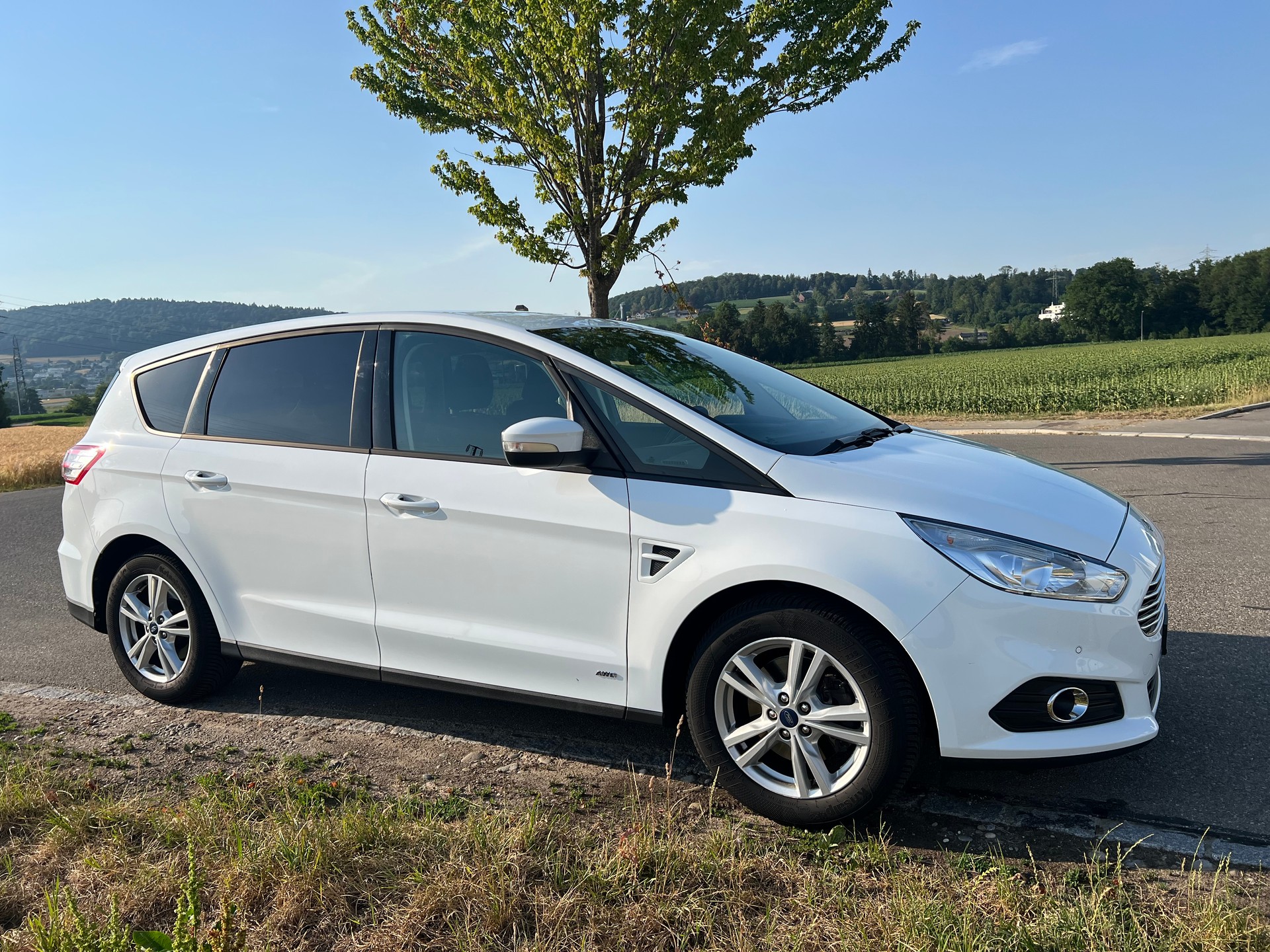FORD S-Max 2.0TDCi Business AWD-image-9