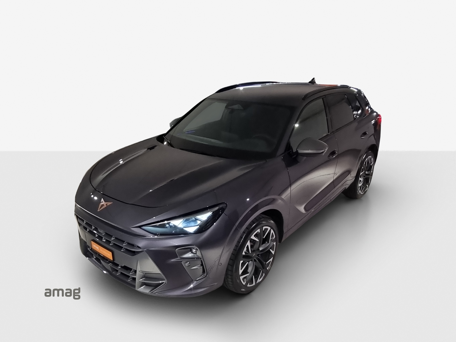 CUPRA Terramar 2.0 TSI DSG 4Drive VZ-image-14