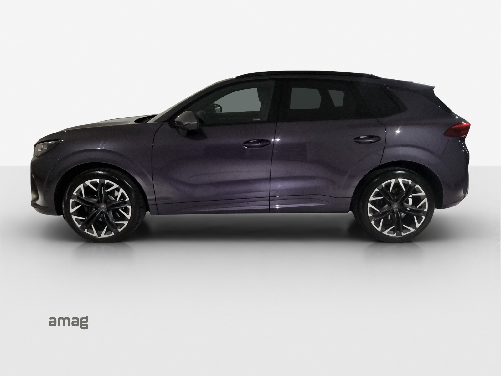 CUPRA Terramar 2.0 TSI DSG 4Drive VZ-image-1