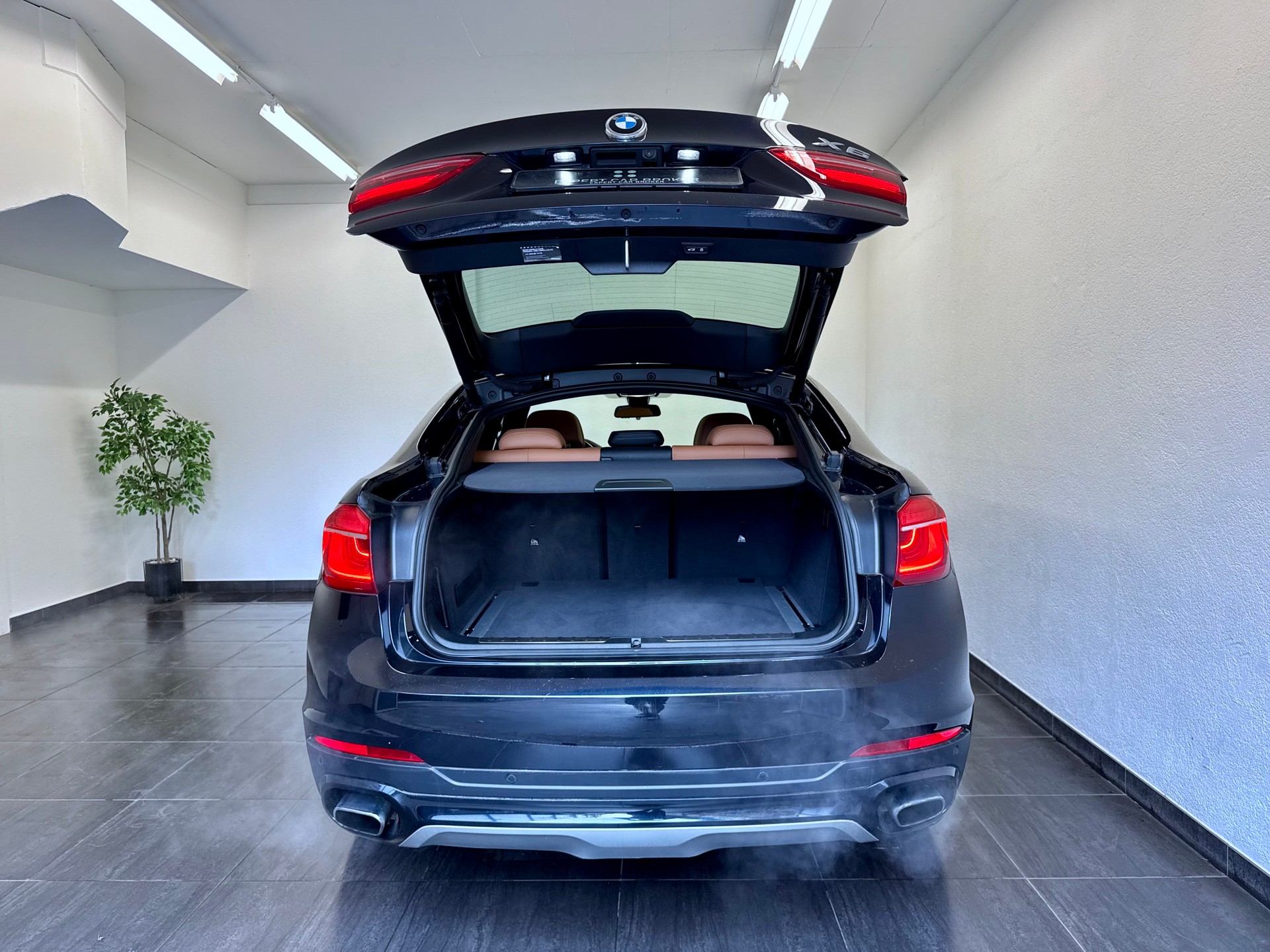 BMW X6 xDrive 50i Steptronic-image-11