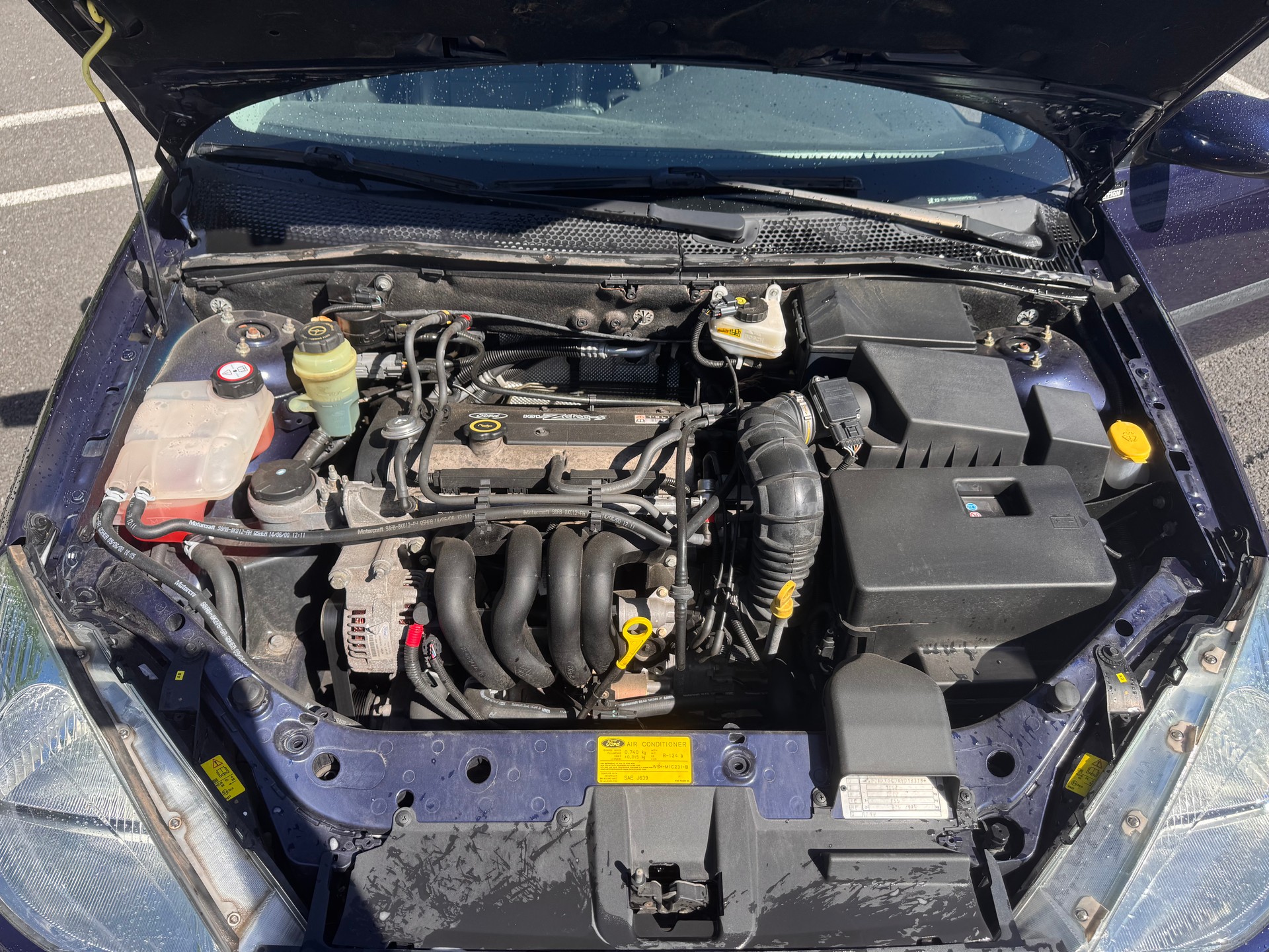 FORD 1.6i 16V Ambiente-image-1