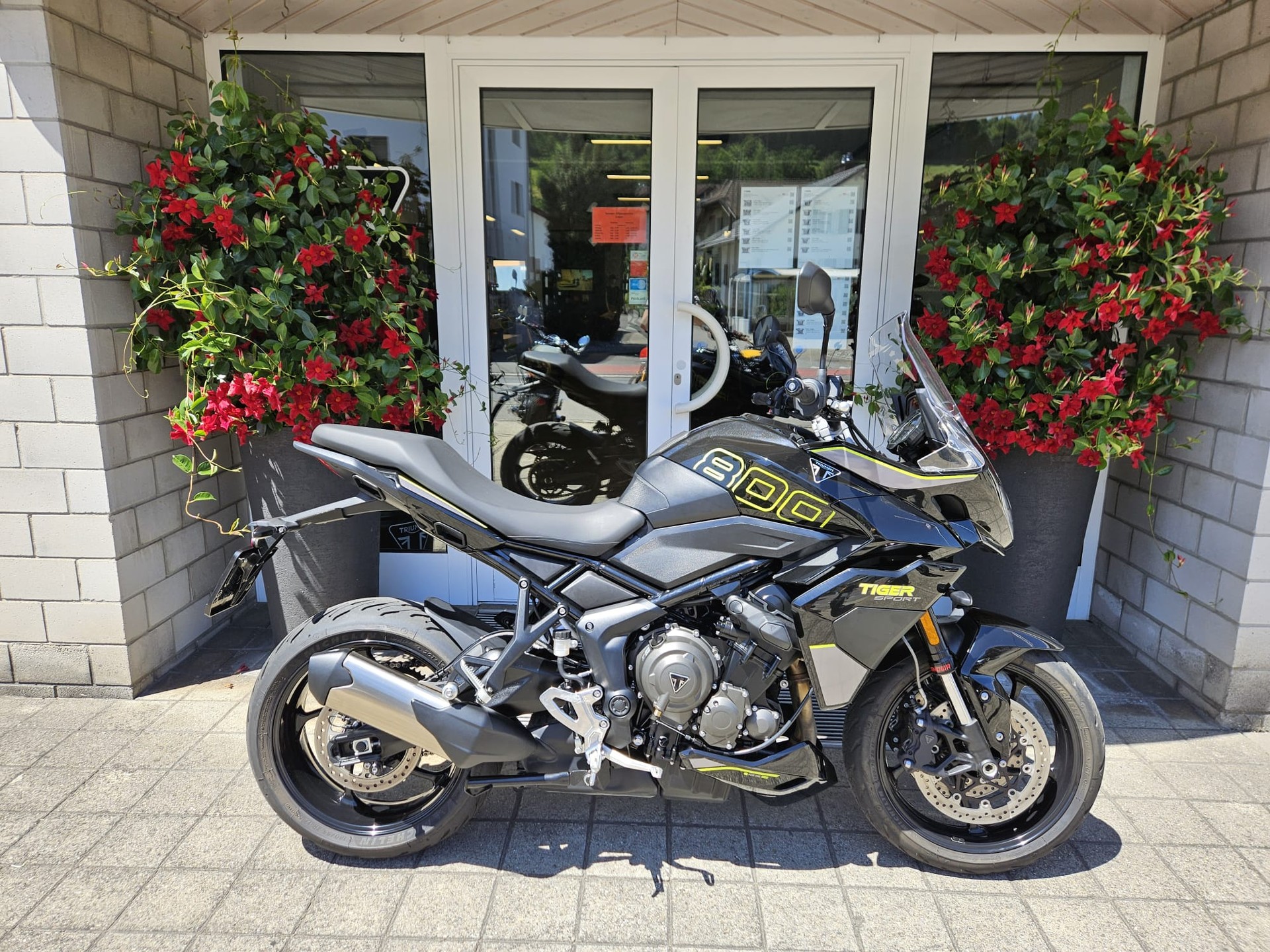 TRIUMPH Tiger Sport 800-showroom-element-1