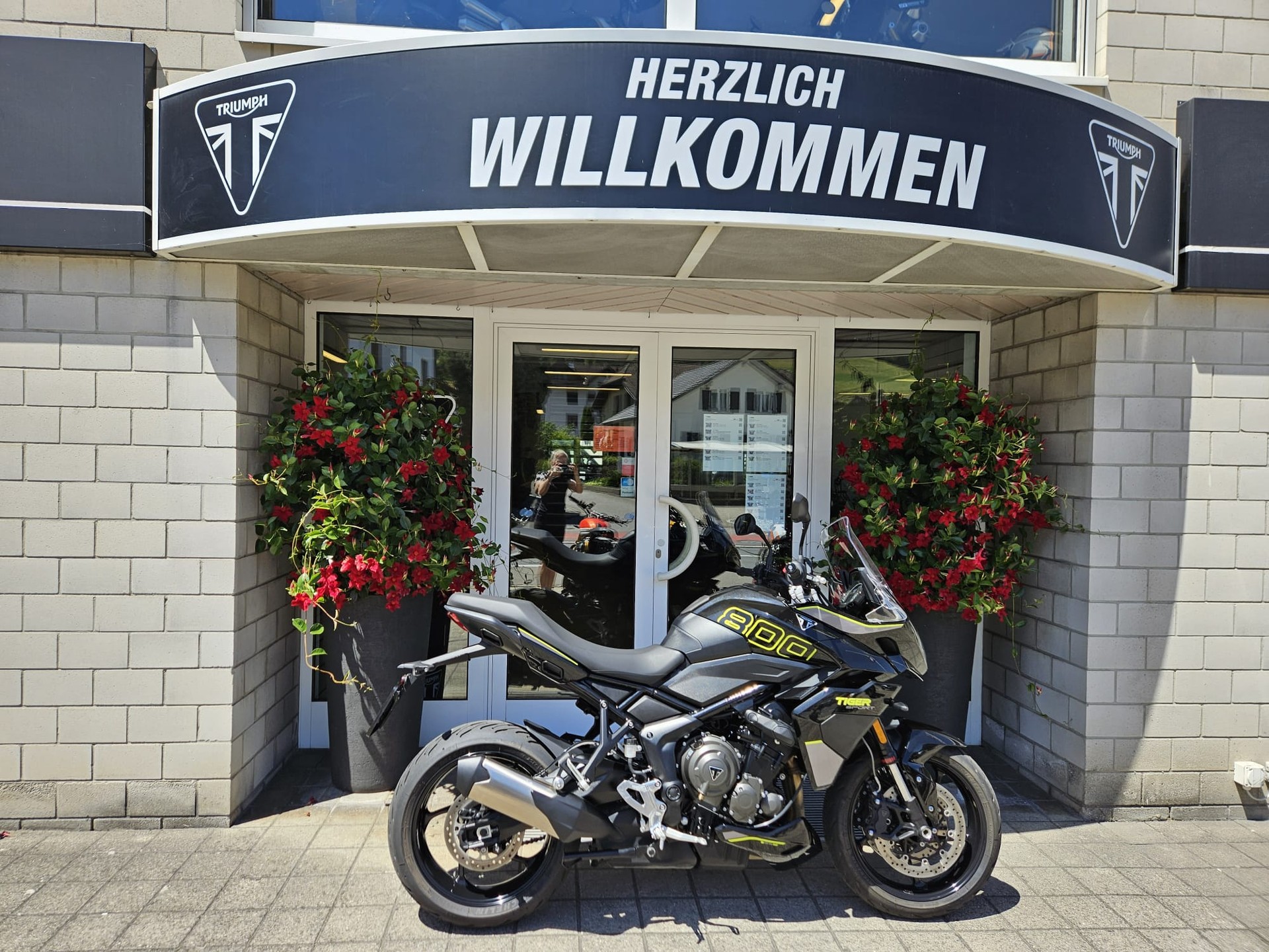 TRIUMPH Tiger Sport 800