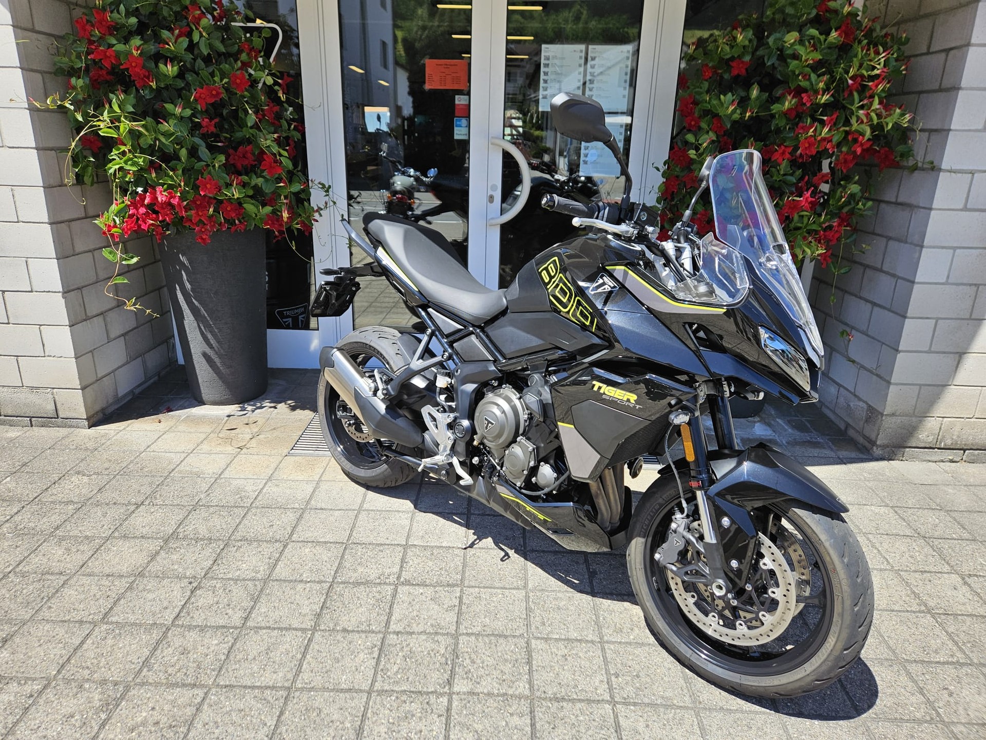TRIUMPH Tiger Sport 800-showroom-element-3