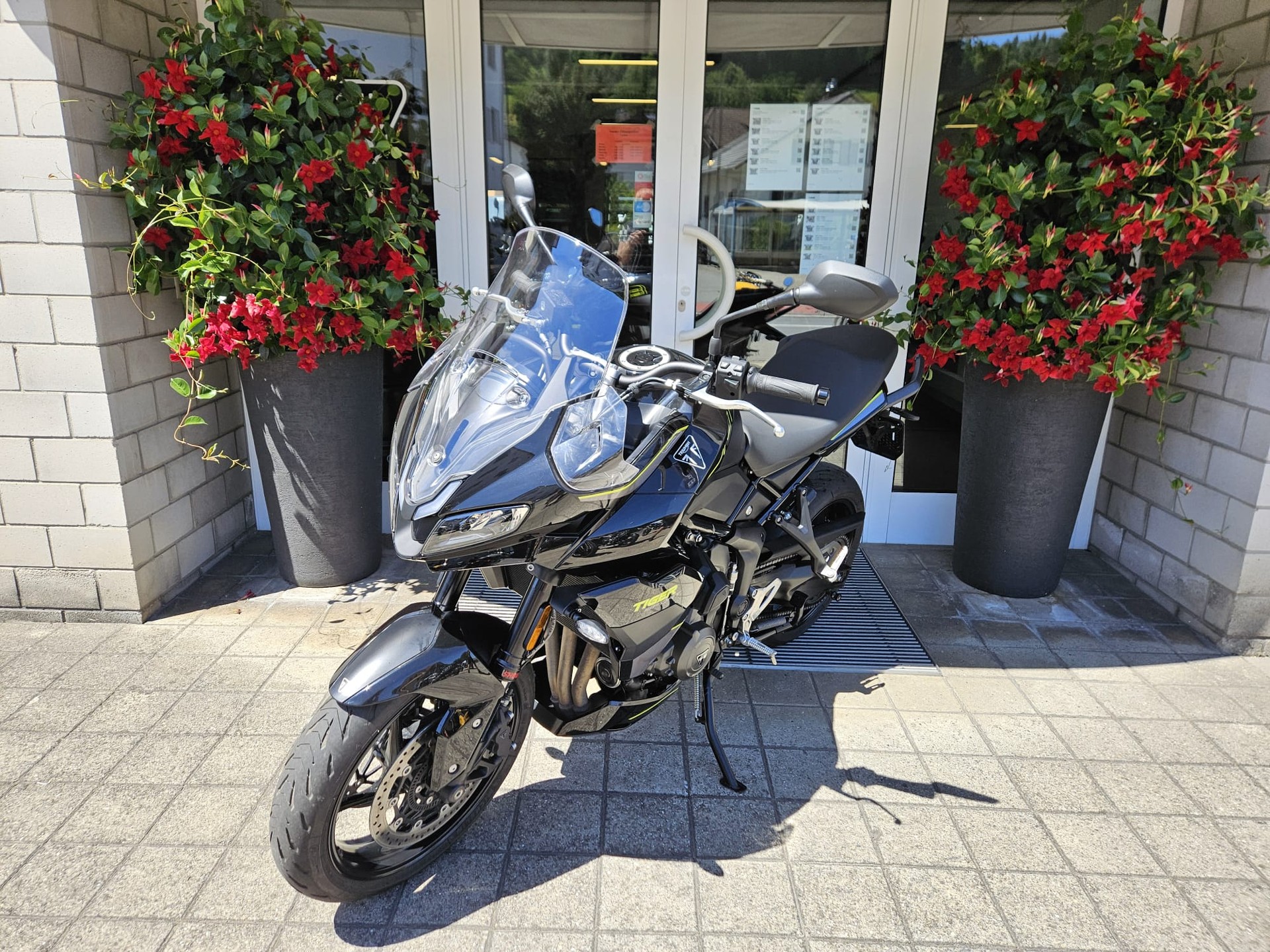 TRIUMPH Tiger Sport 800-image-5