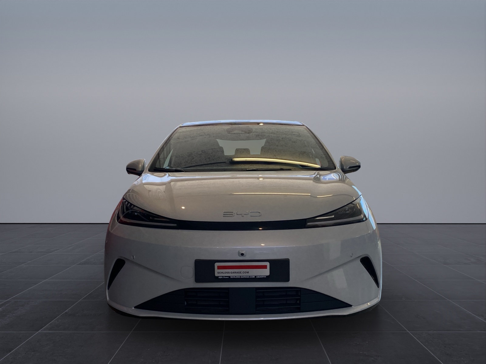 BYD Dolphin G DM-i Comfort-image-1