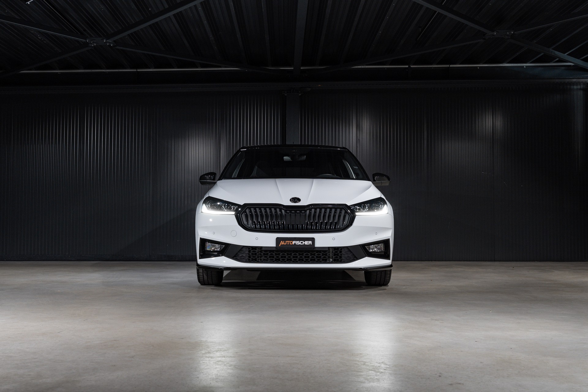 SKODA Fabia 1.0 TSI Monte Carlo DSG-image-3