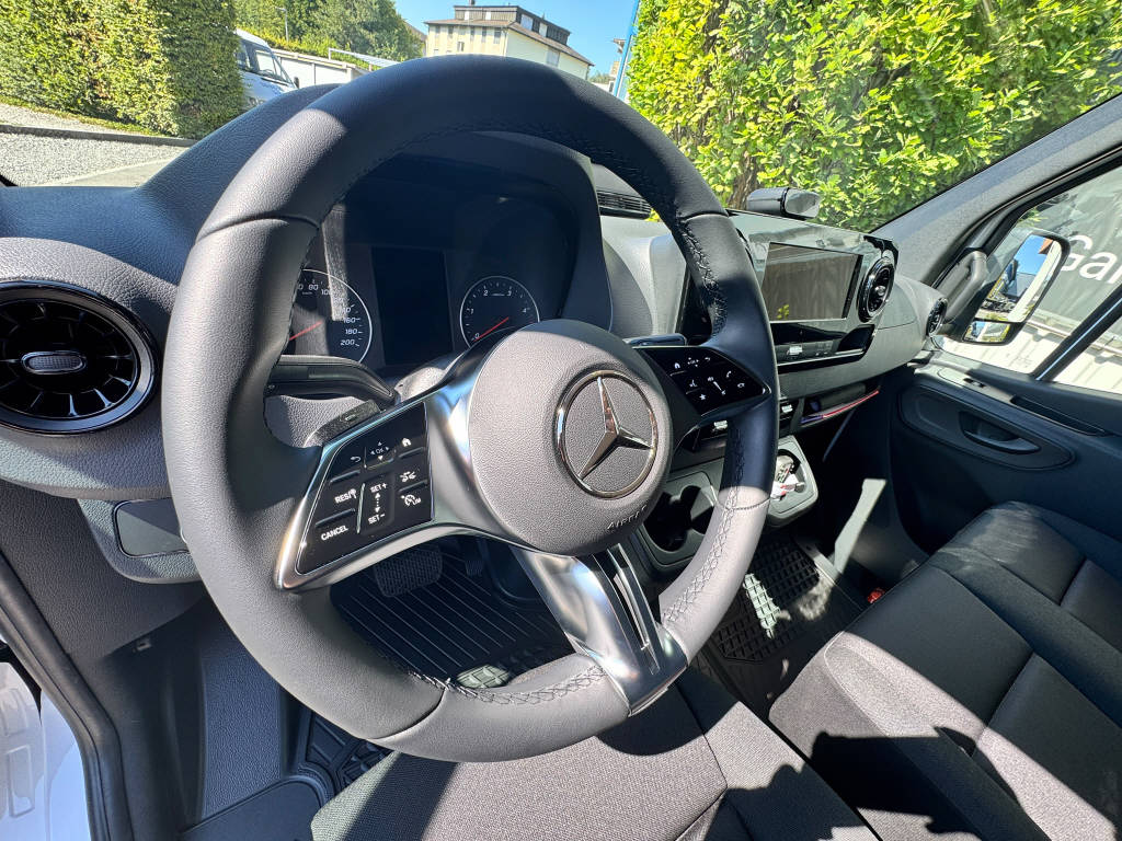 MERCEDES-BENZ Sprinter 317 CDI Pro Aufbau mit Hebebühne 4325 L-image-10