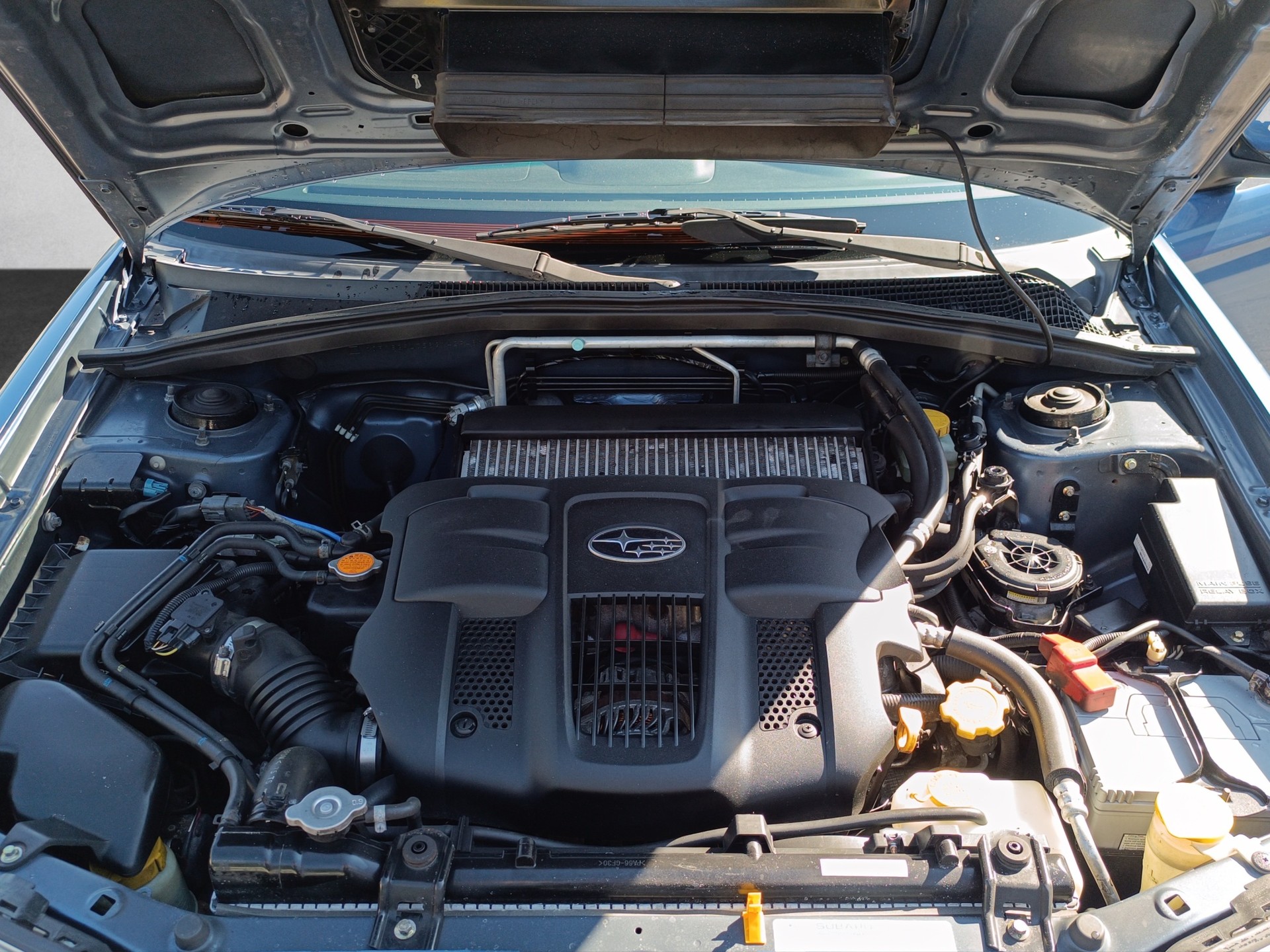 SUBARU Forester 2.5XT Limited (Club)-image-14
