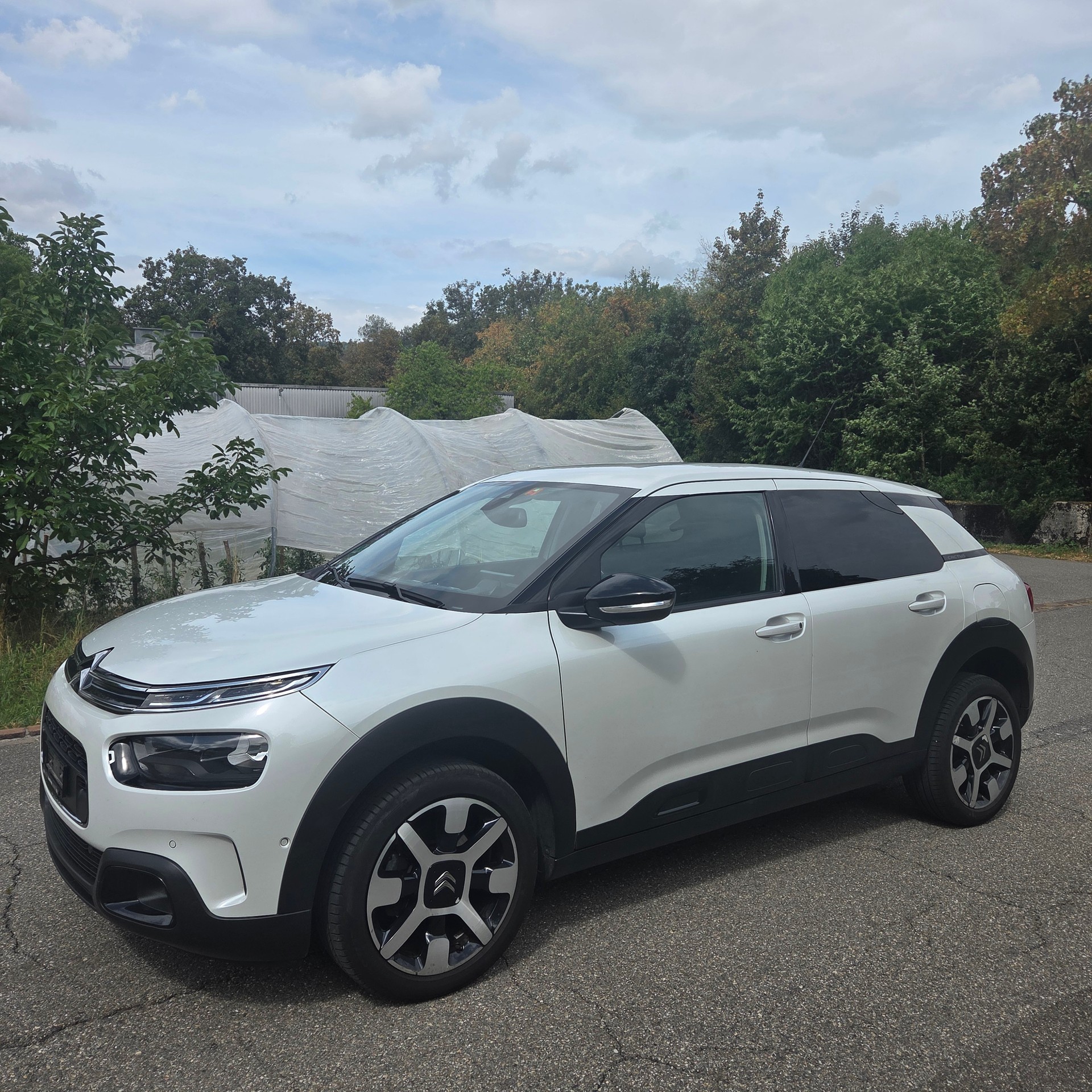 CITROEN C4 Cactus 1.2 Pure Tech Shine-image-0