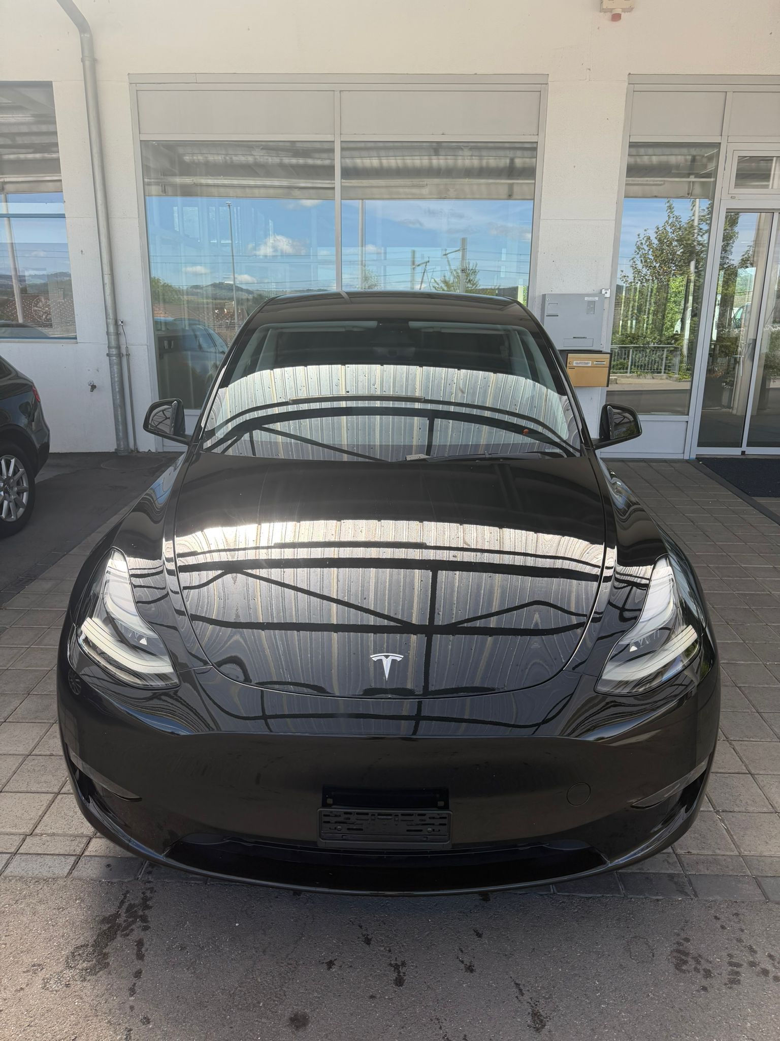TESLA Model Y Performance-image-1