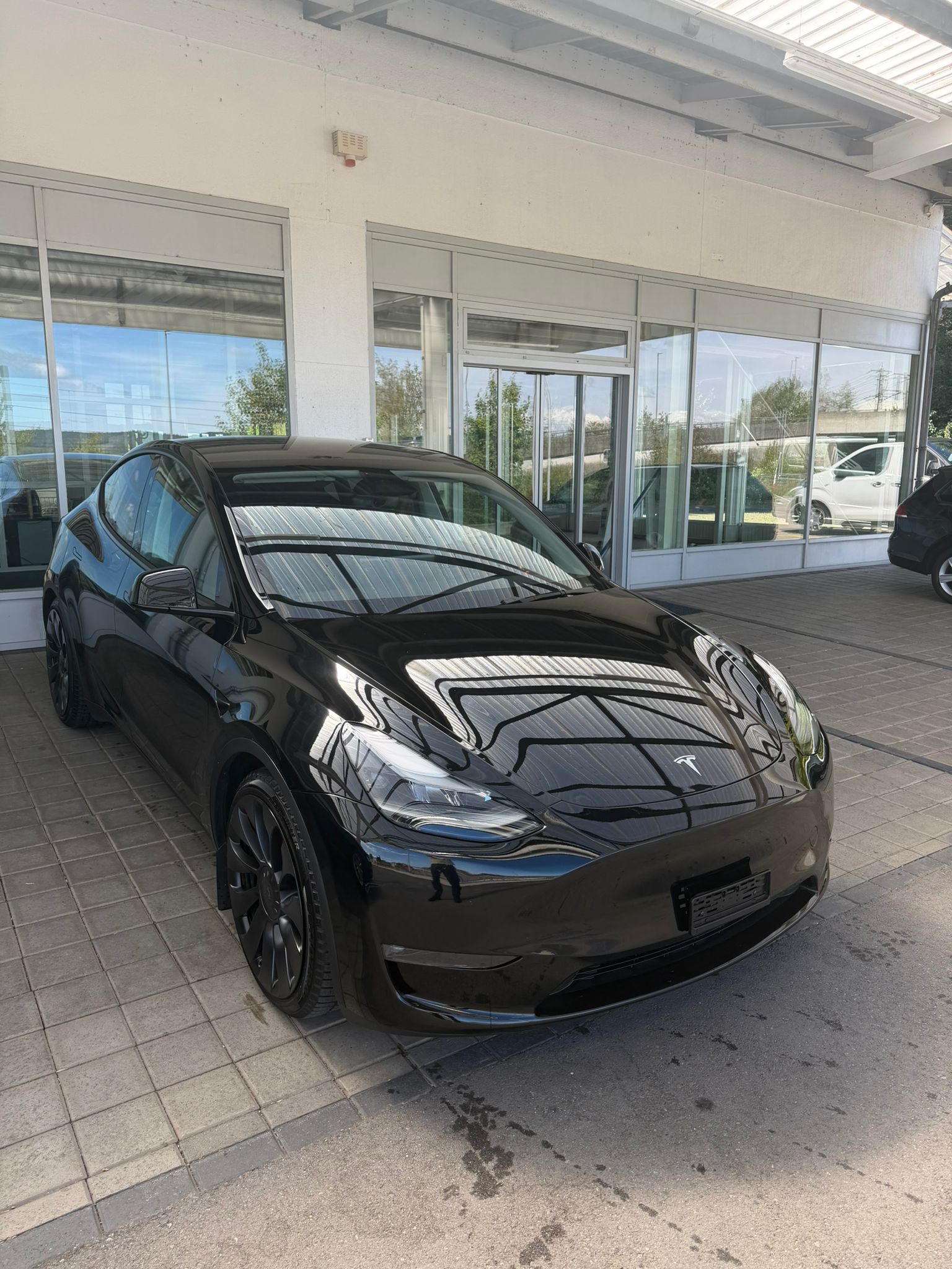 TESLA Model Y Performance-image-0