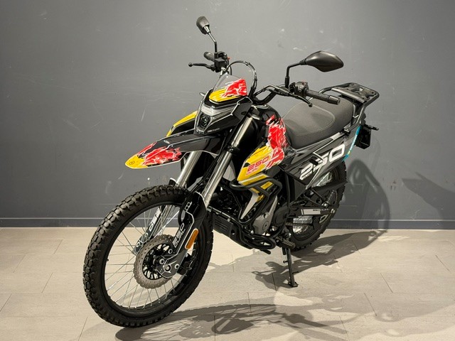 CF MOTO 250 Dual-showroom-element-2