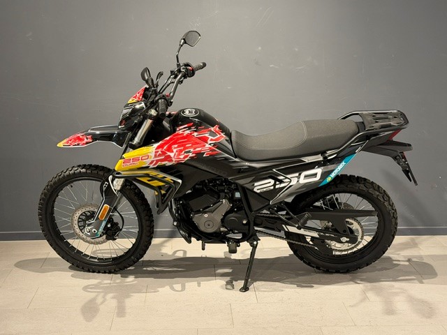 CF MOTO 250 Dual-showroom-element-3