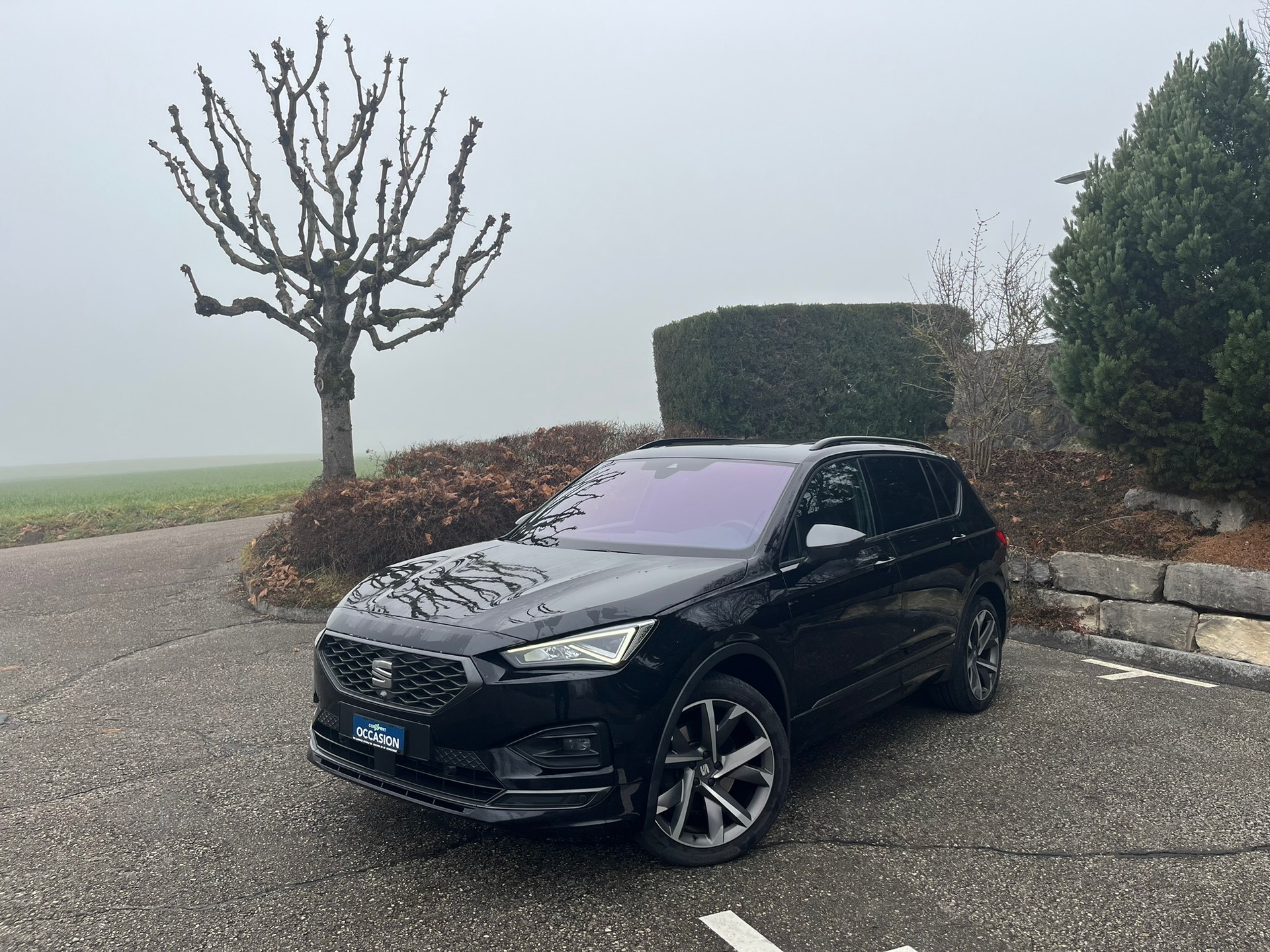 SEAT Tarraco 2.0 TDI CR Hola FR 4Drive DSG-image-1