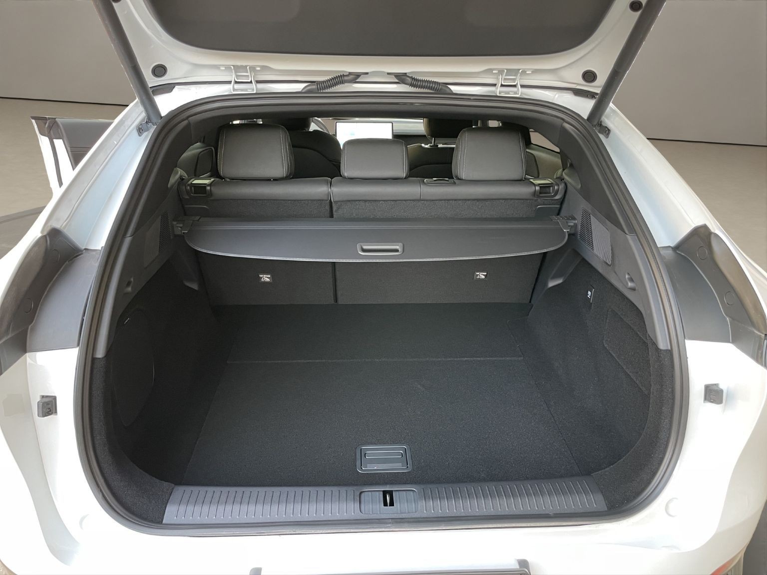 XPENG G6 Performance AWD-image-11