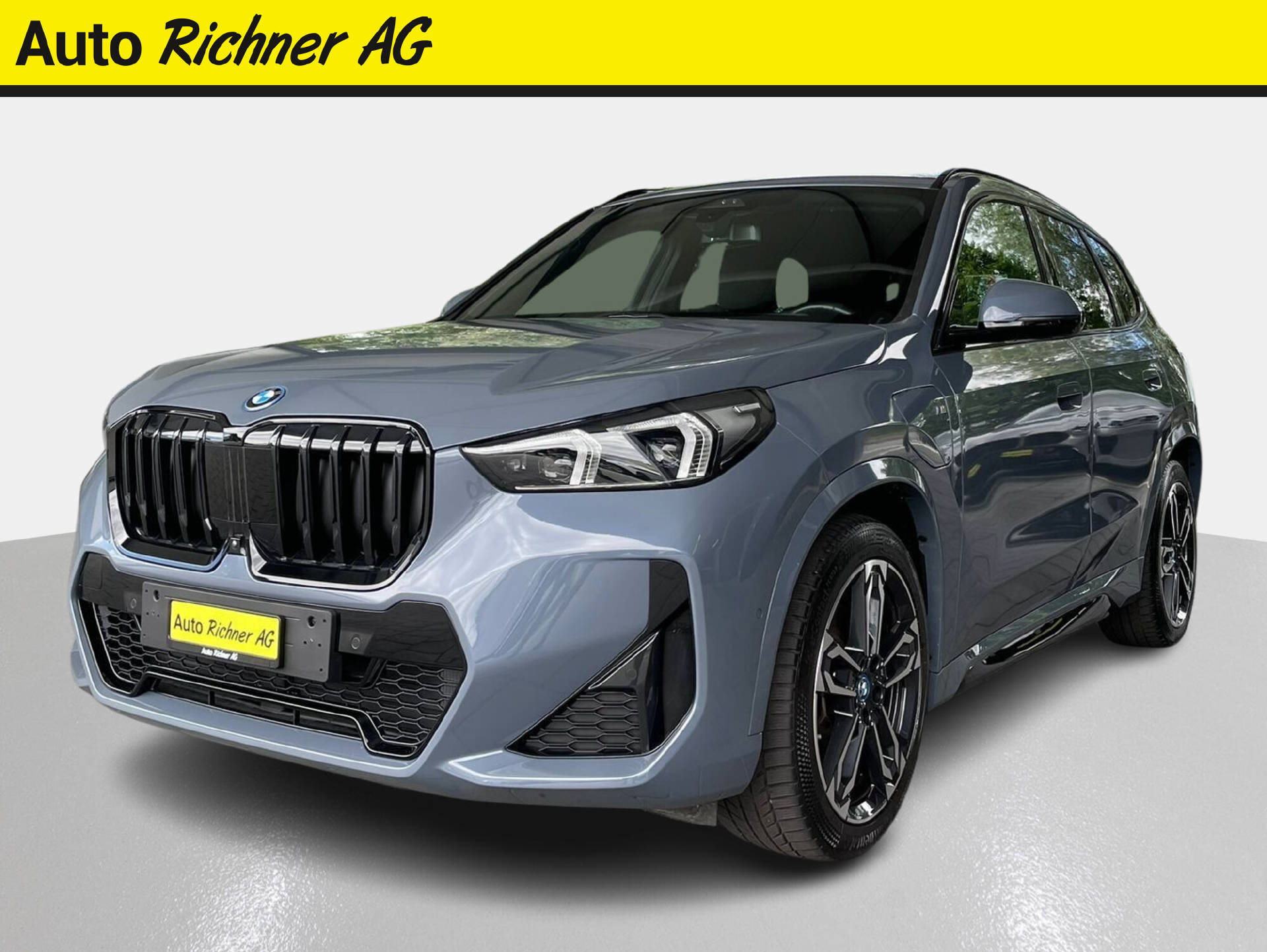 BMW X1 25e xDrive paddles-image-1