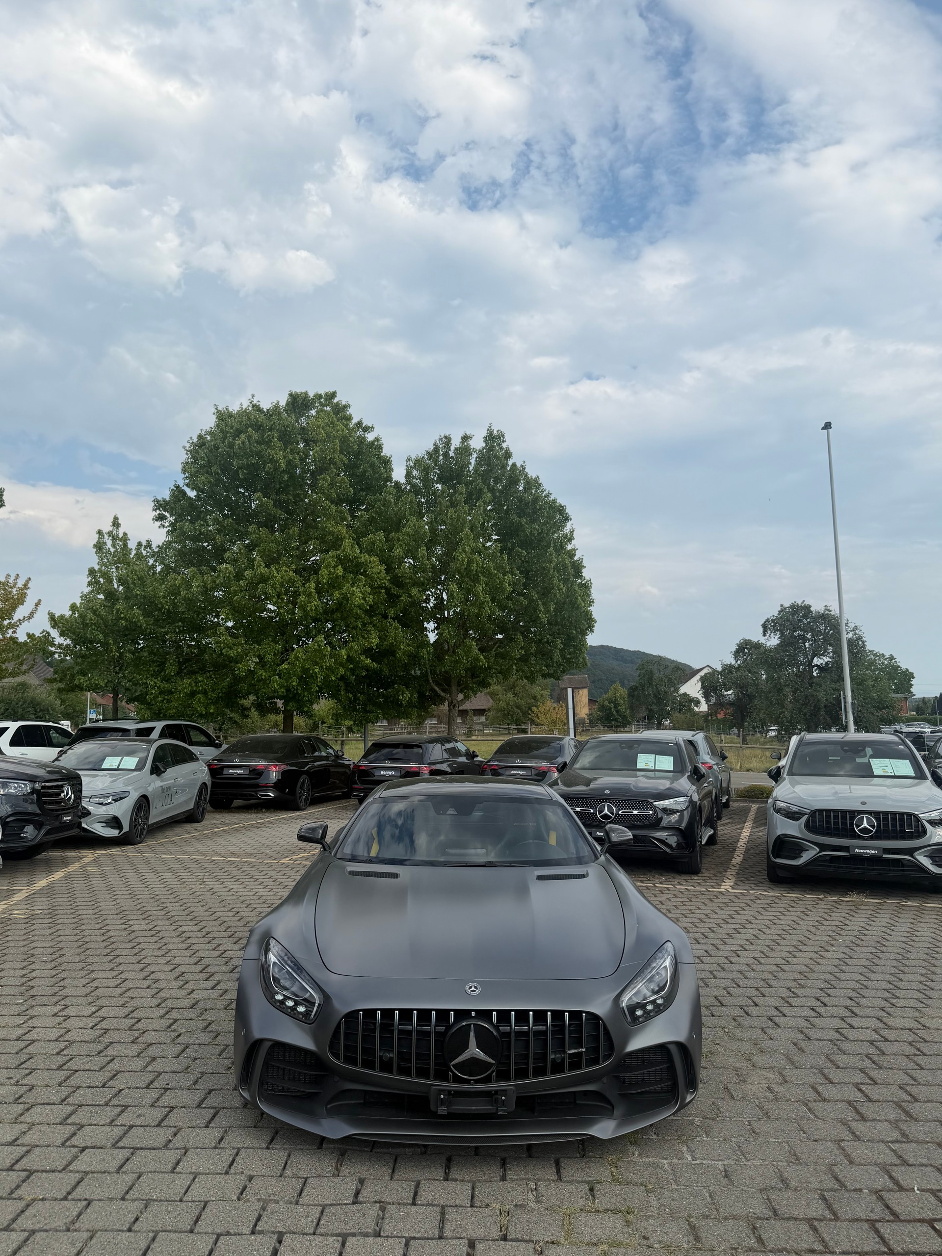 MERCEDES-BENZ AMG GT R-image-3