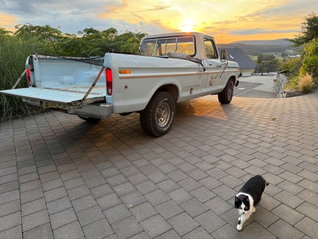 FORD TRUCKS F150 Custom-image-11