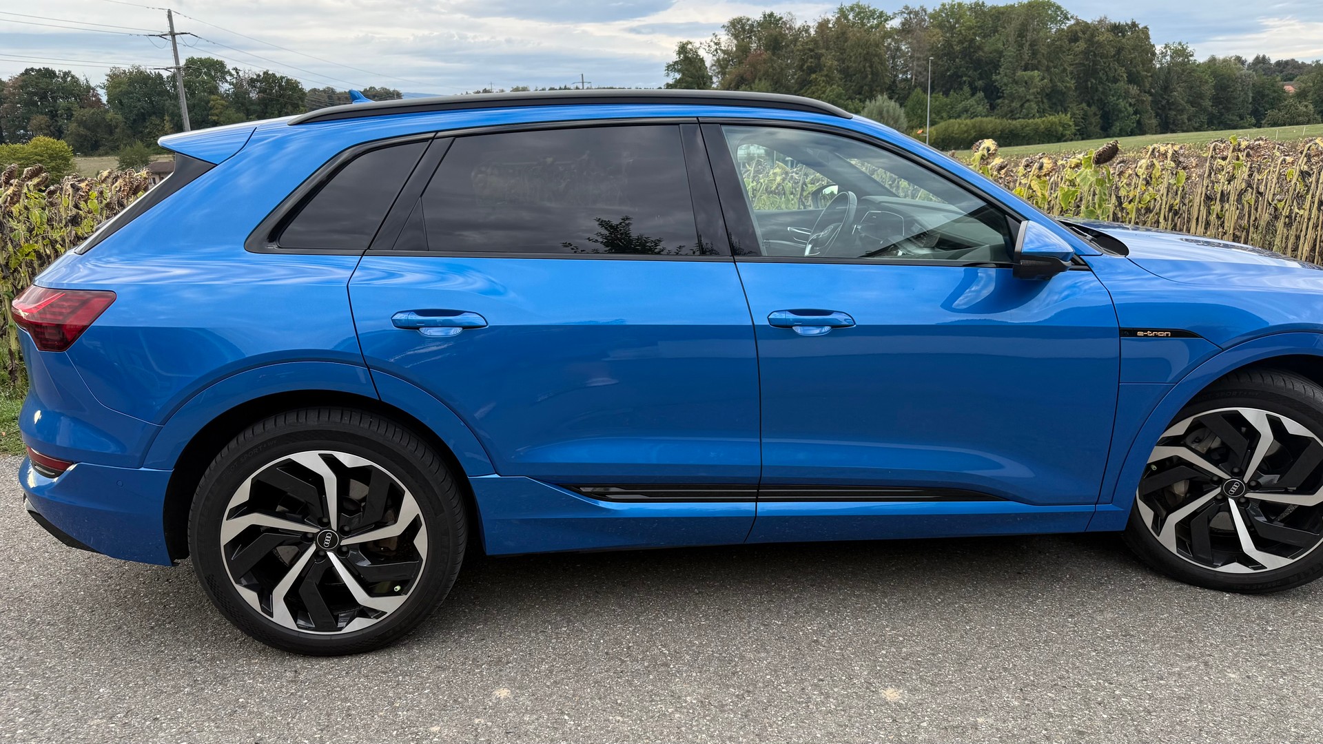 AUDI 55 S Line quattro-image-3