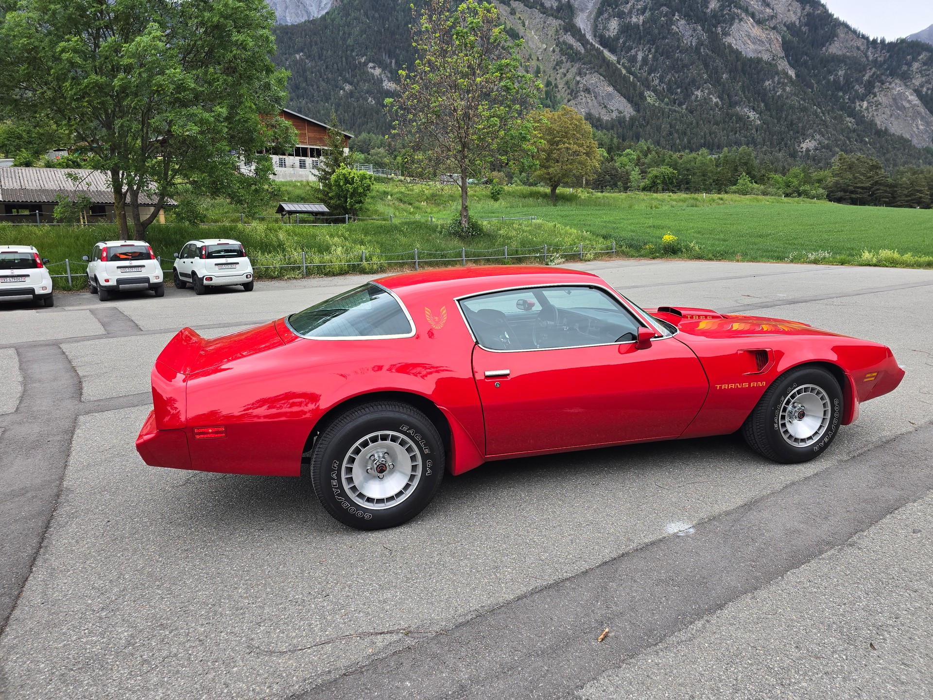 PONTIAC Transam 6.6 V8 Old Scool Veteran-image-8
