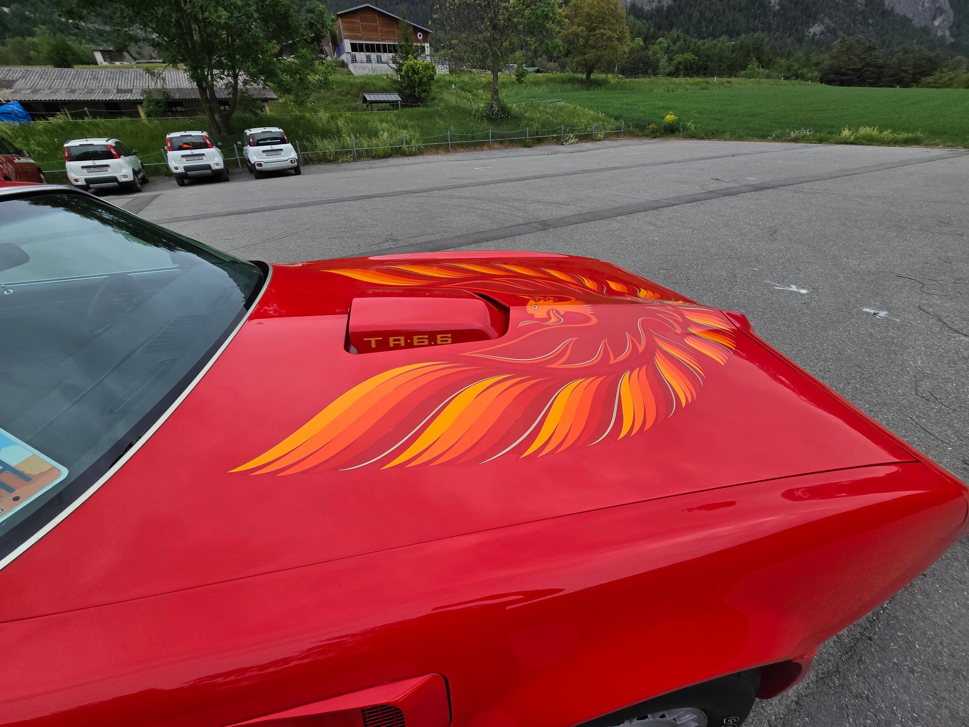 PONTIAC Transam 6.6 V8 Old Scool Veteran-image-23
