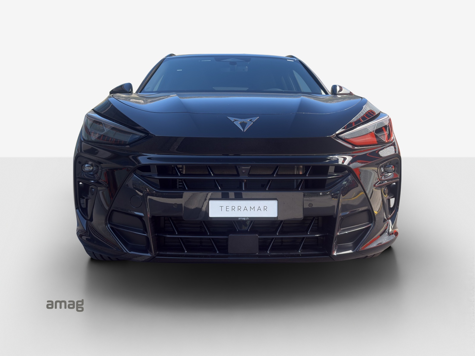 CUPRA Terramar 2.0 TSI DSG 4Drive-image-6